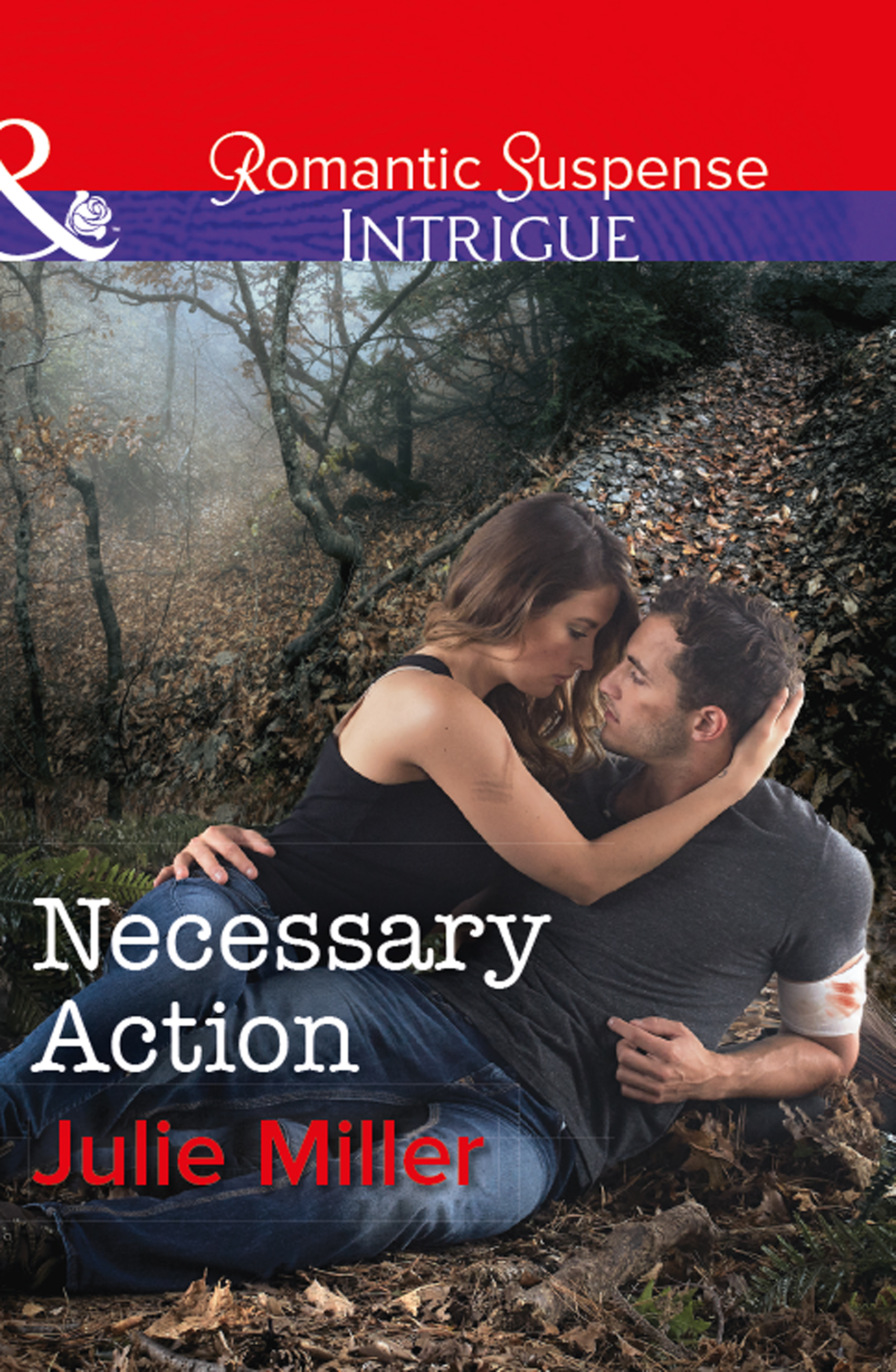 Обложка книги «Necessary Action»