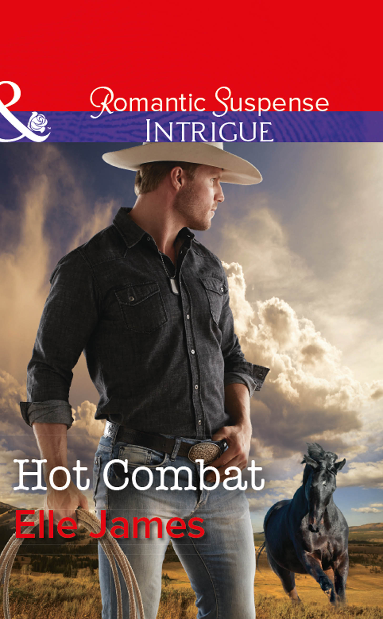 Обложка книги «Hot Combat»