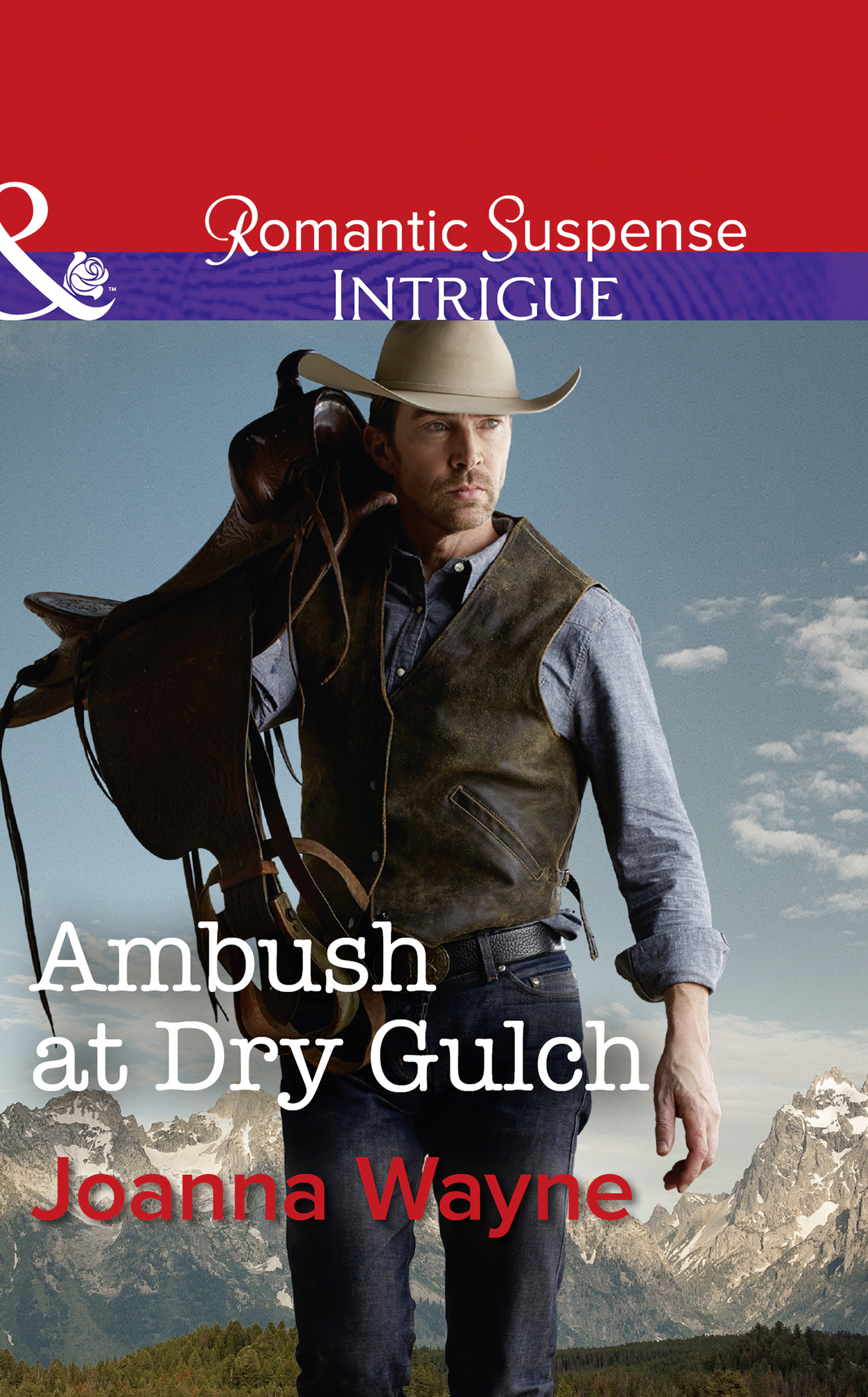 Обложка книги «Ambush At Dry Gulch»