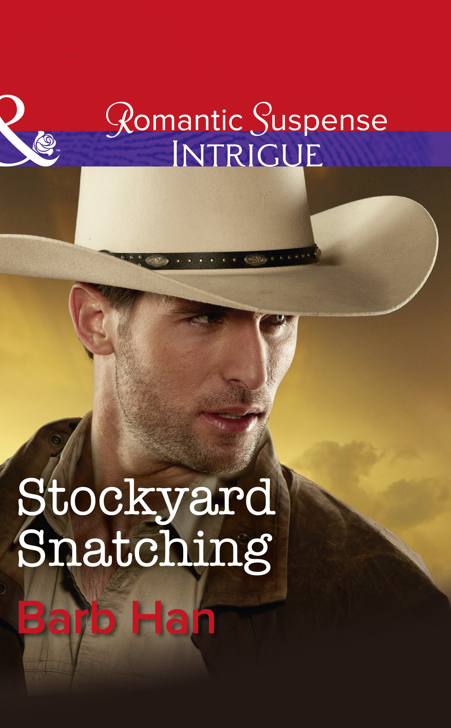 Обложка книги «Stockyard Snatching»