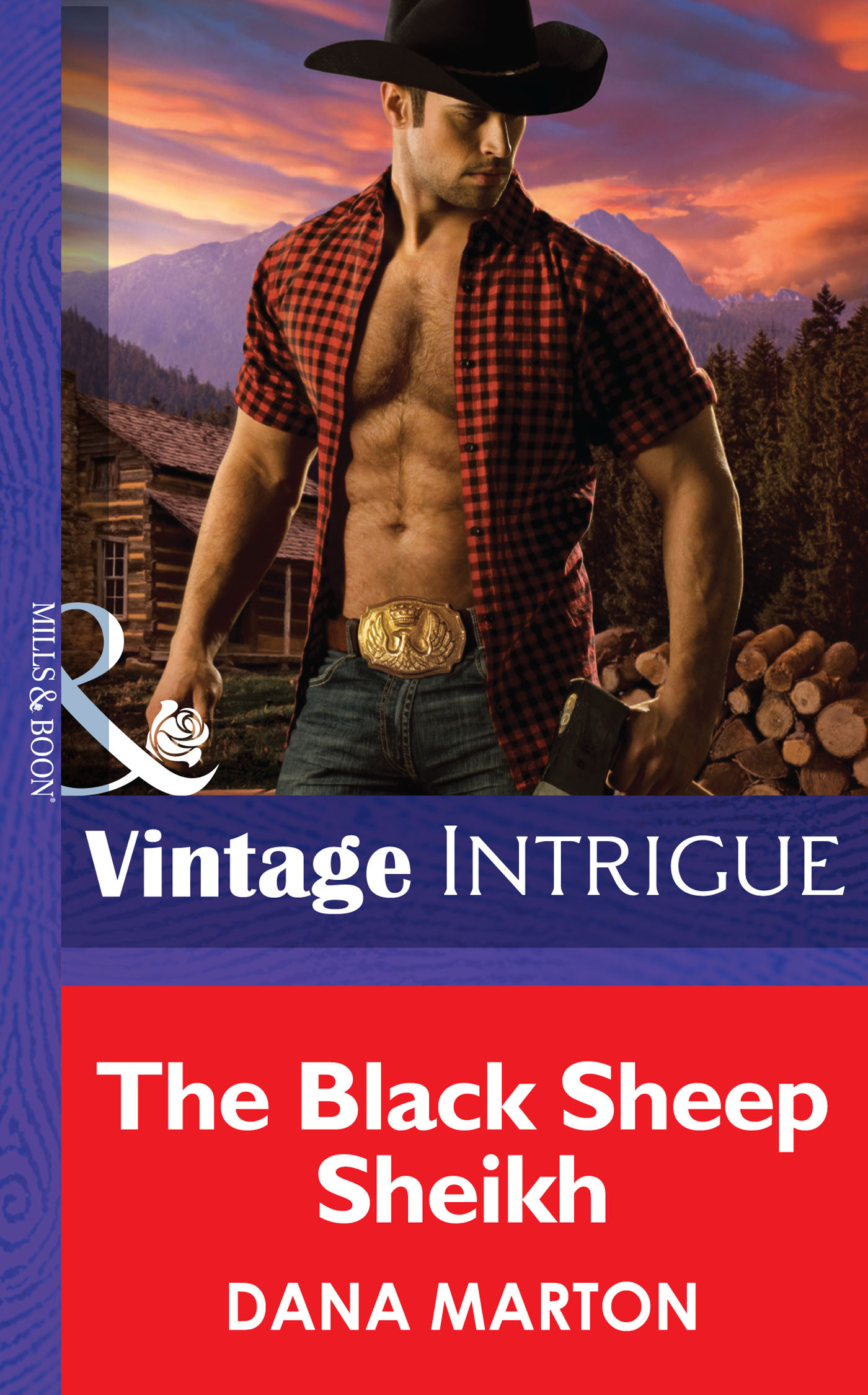 Обложка книги «The Black Sheep Sheik»