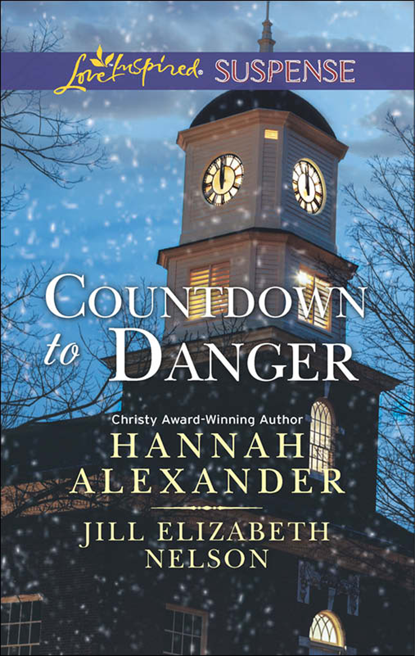 Обложка книги «Countdown to Danger: Alive After New Year / New Year's Target»