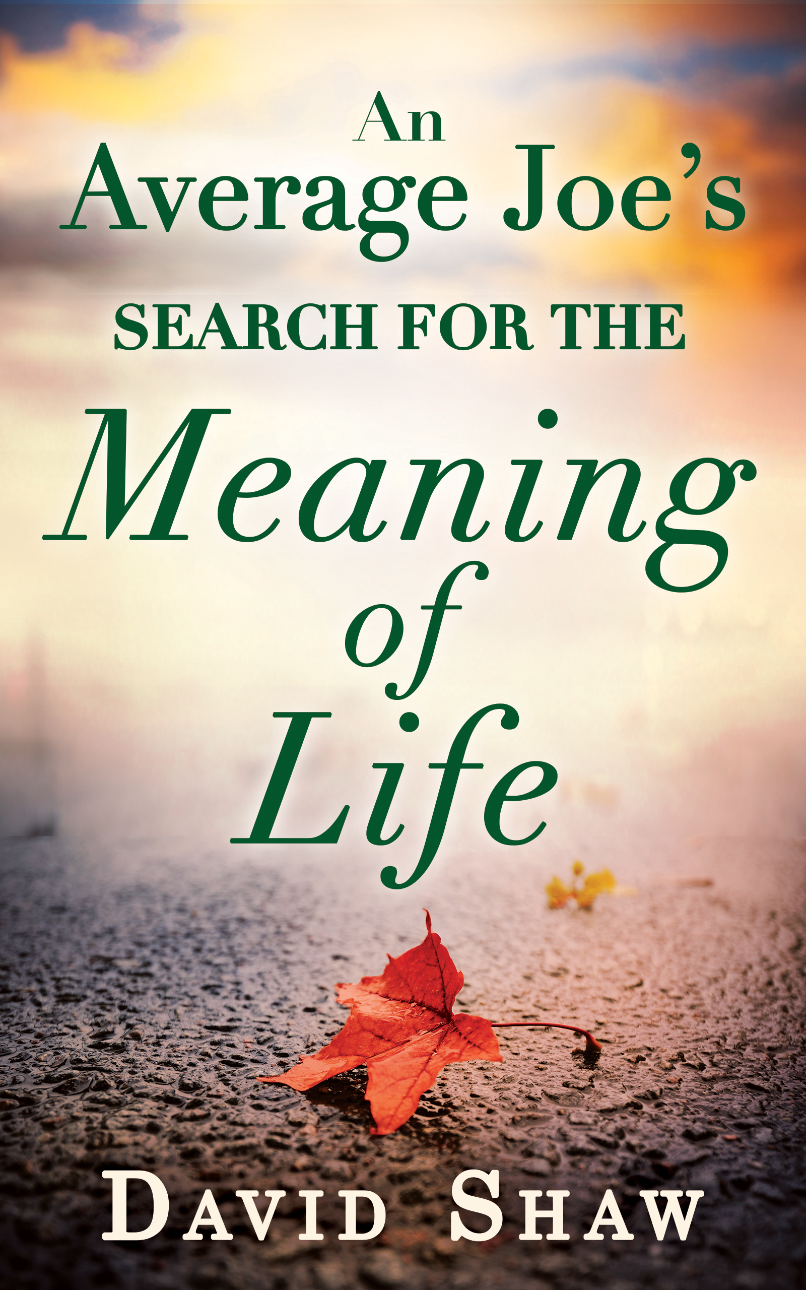 Обложка книги «An Average Joe's Search For The Meaning Of Life»