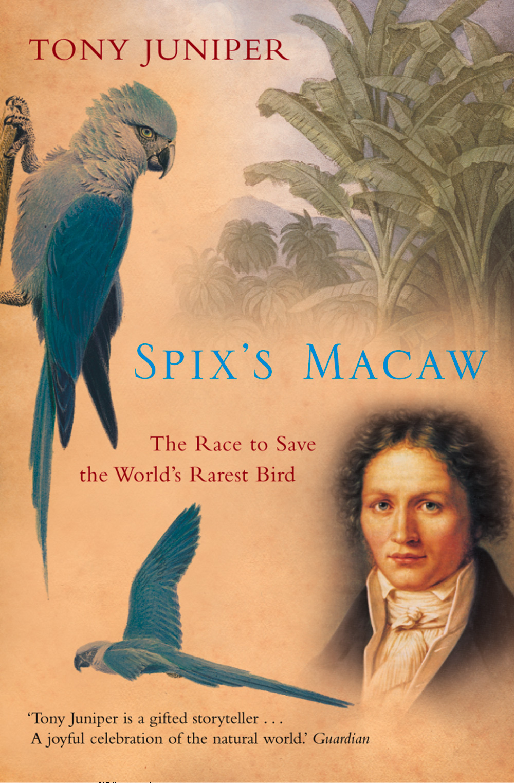 Обложка книги «Spix’s Macaw: The Race to Save the World’s Rarest Bird»