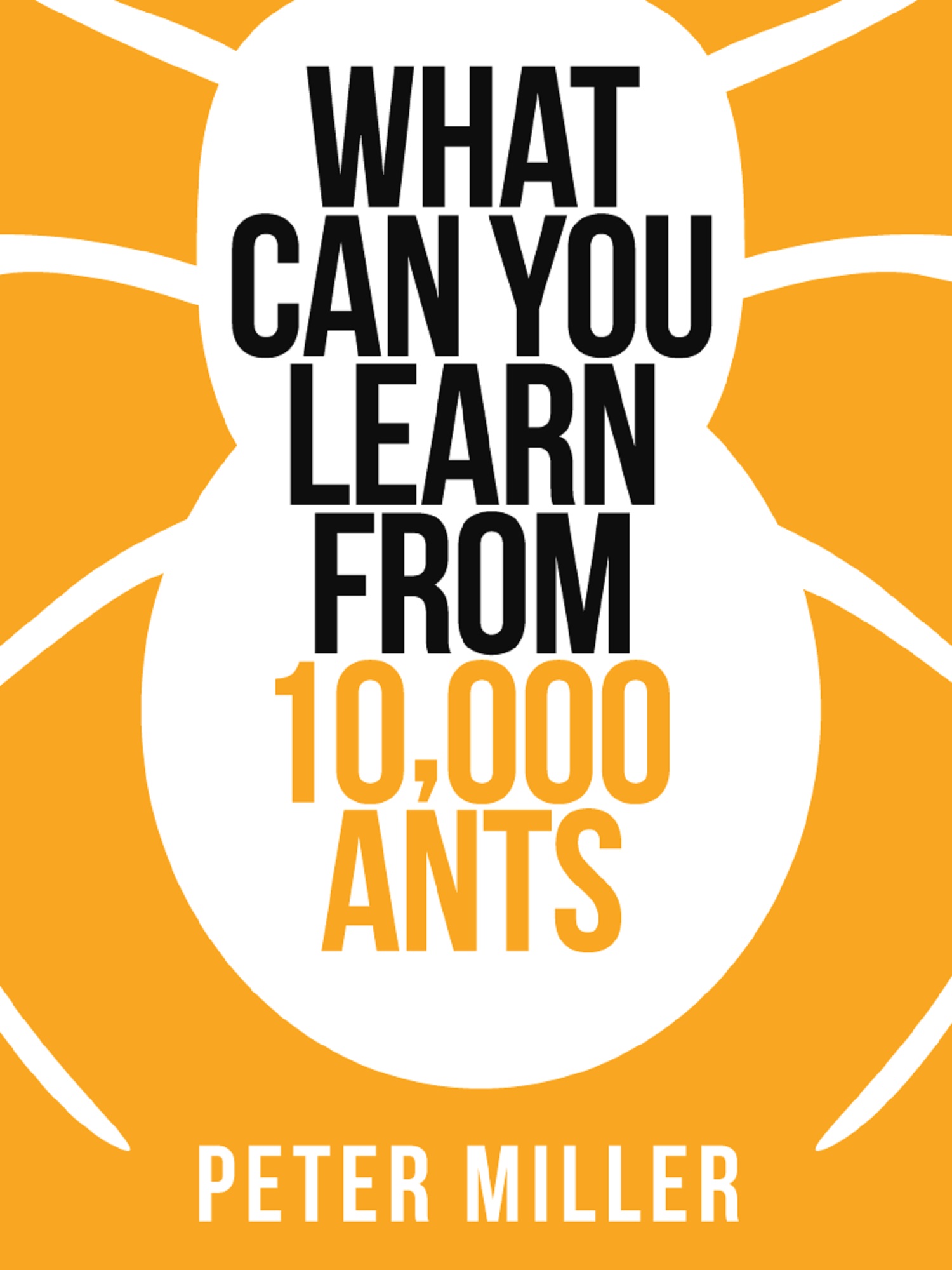Обложка книги «What You Can Learn From 10,000 Ants»