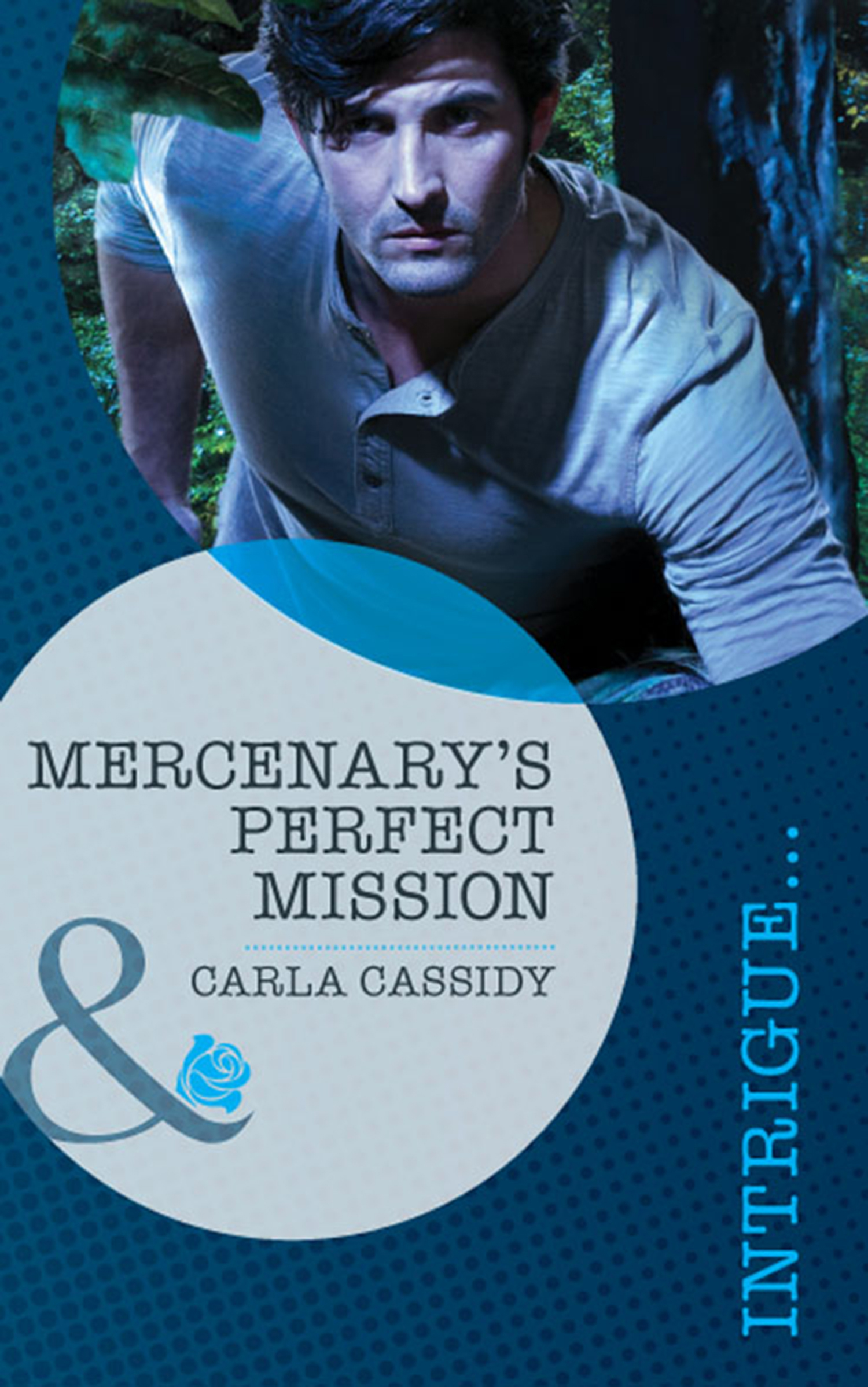Обложка книги «Mercenary's Perfect Mission»