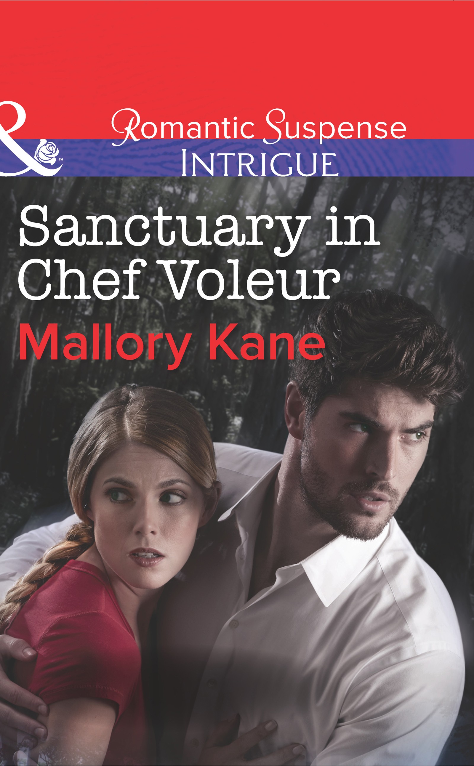 Обложка книги «Sanctuary in Chef Voleur»