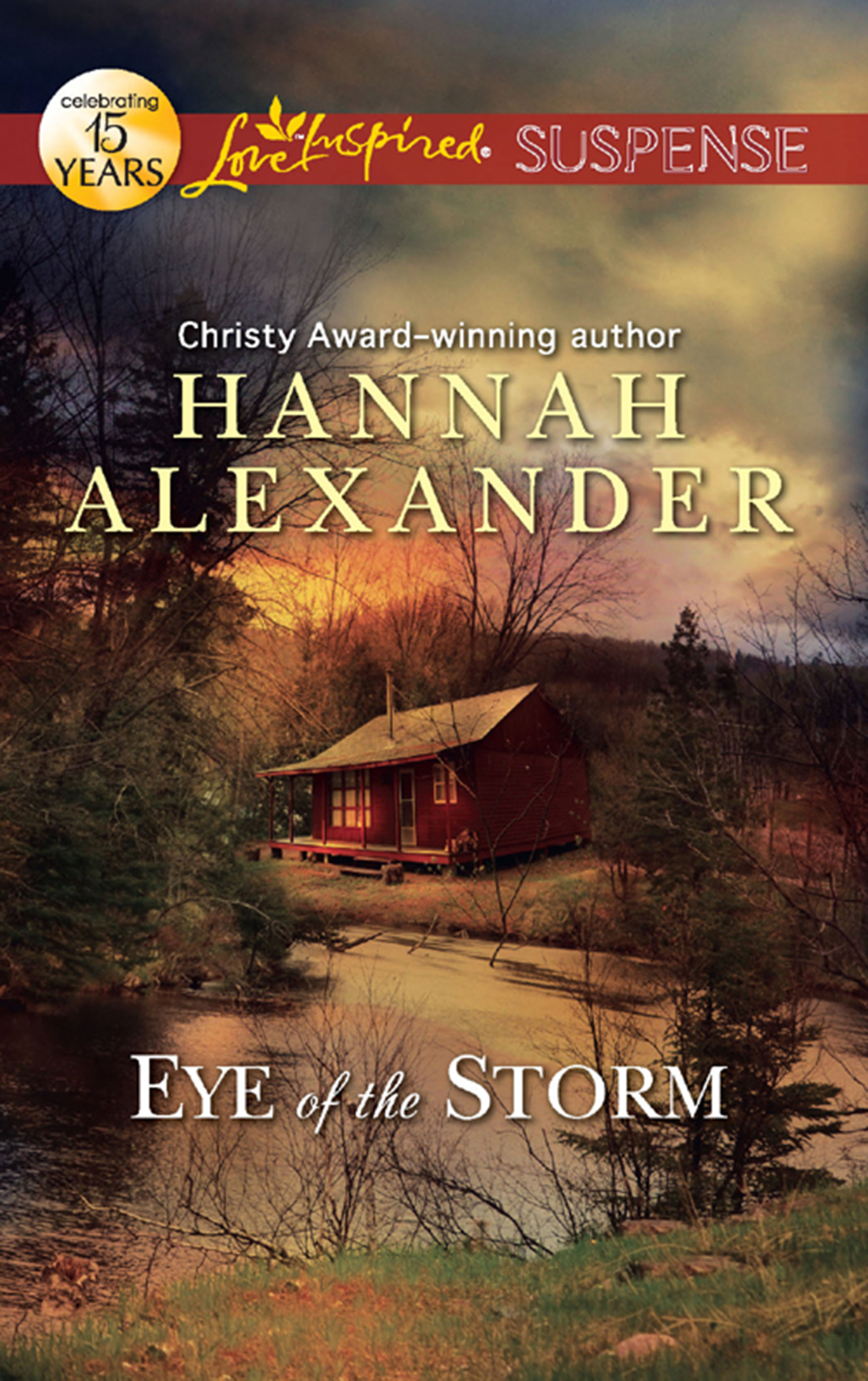 Обложка книги «Eye of the Storm»