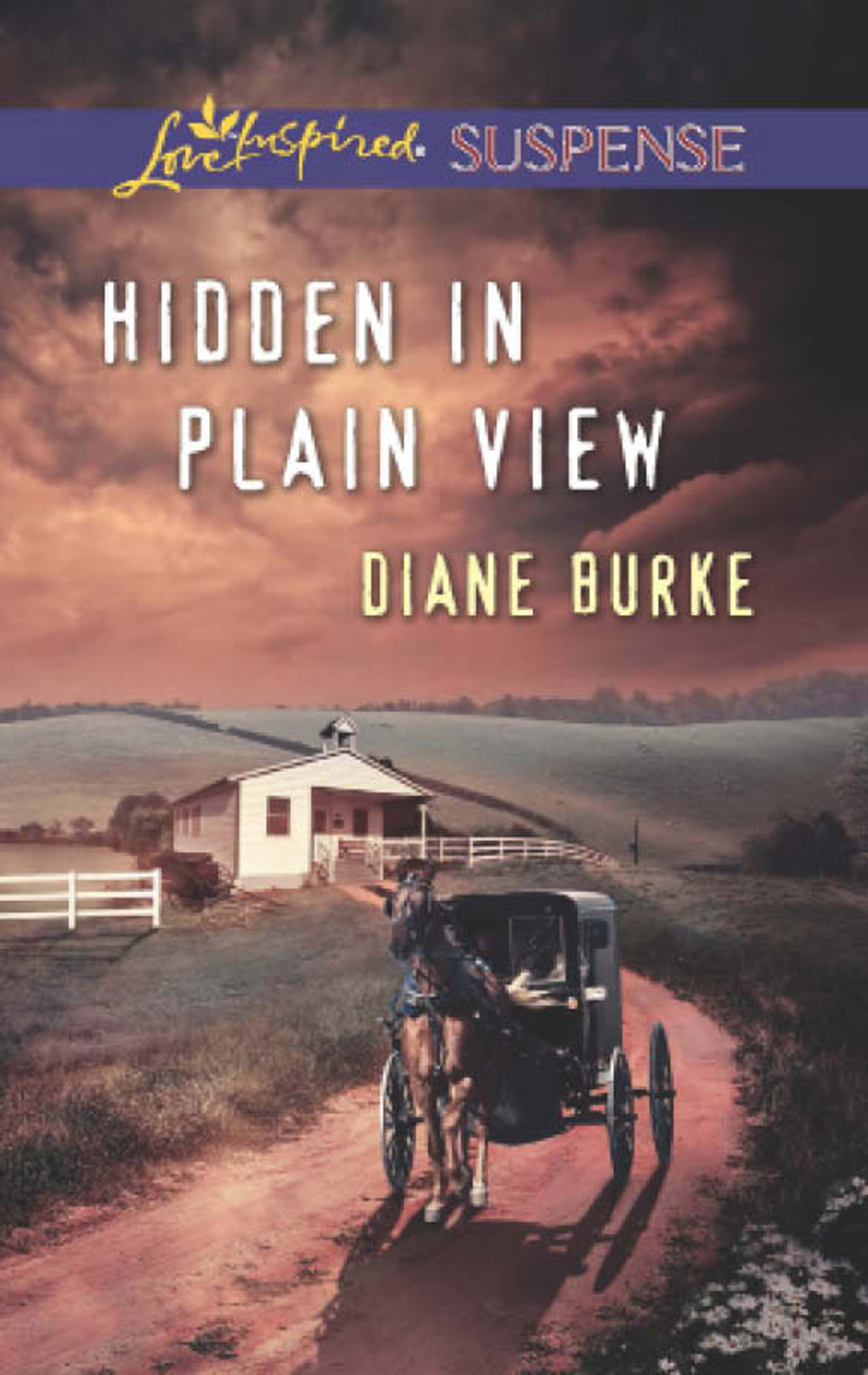 Обложка книги «Hidden in Plain View»