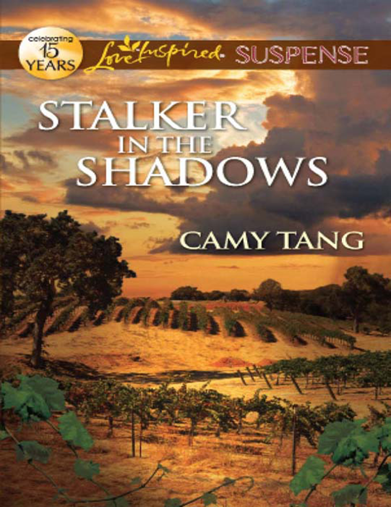 Обложка книги «Stalker in the Shadows»
