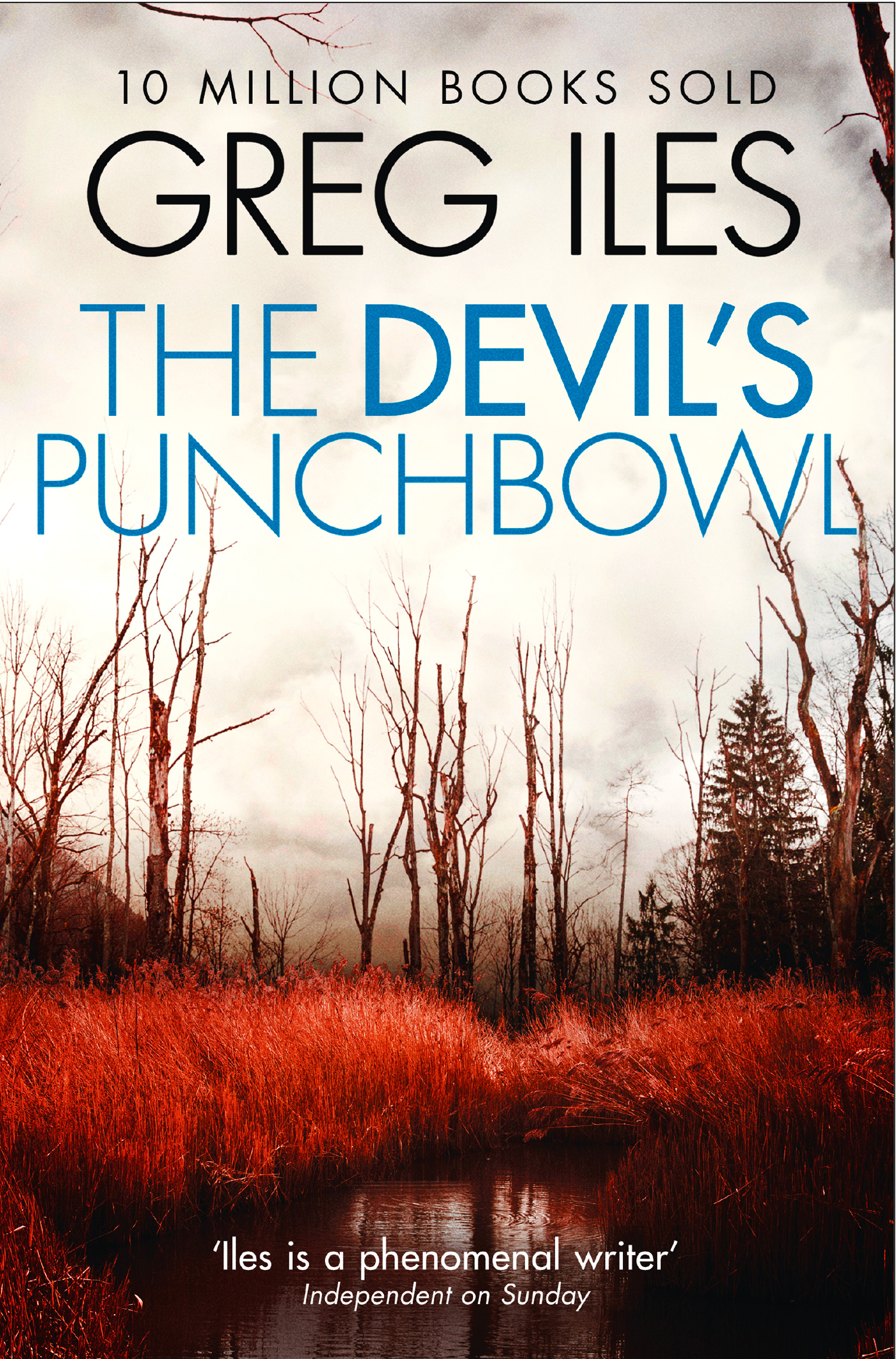 Обложка книги «The Devil’s Punchbowl»