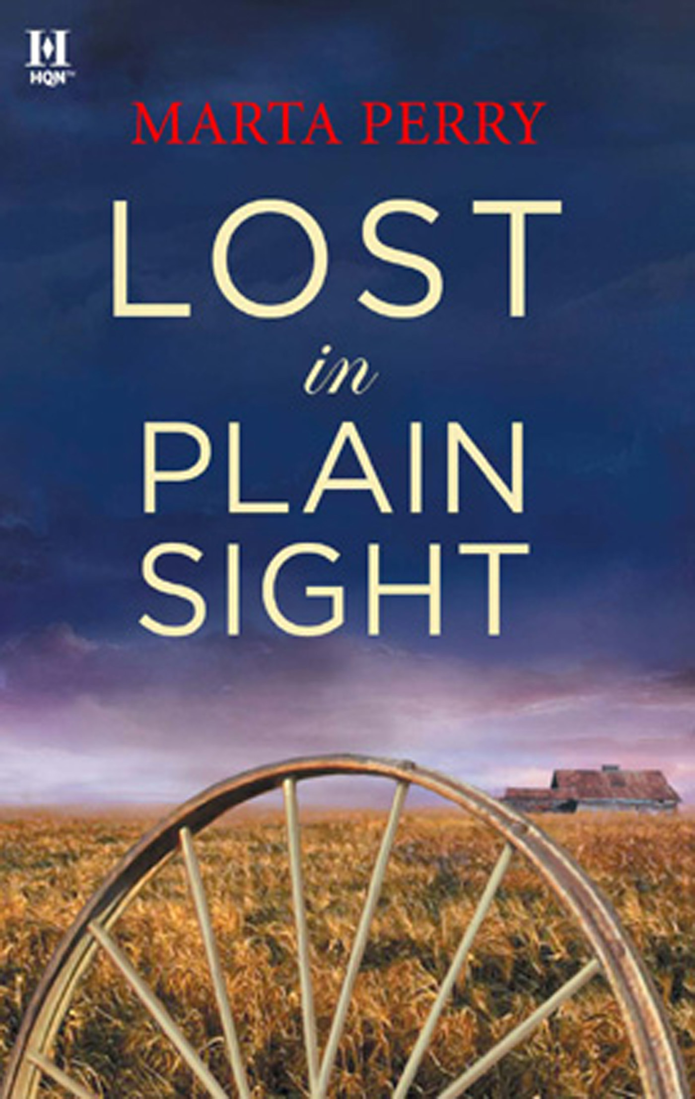 Обложка книги «Lost in Plain Sight»