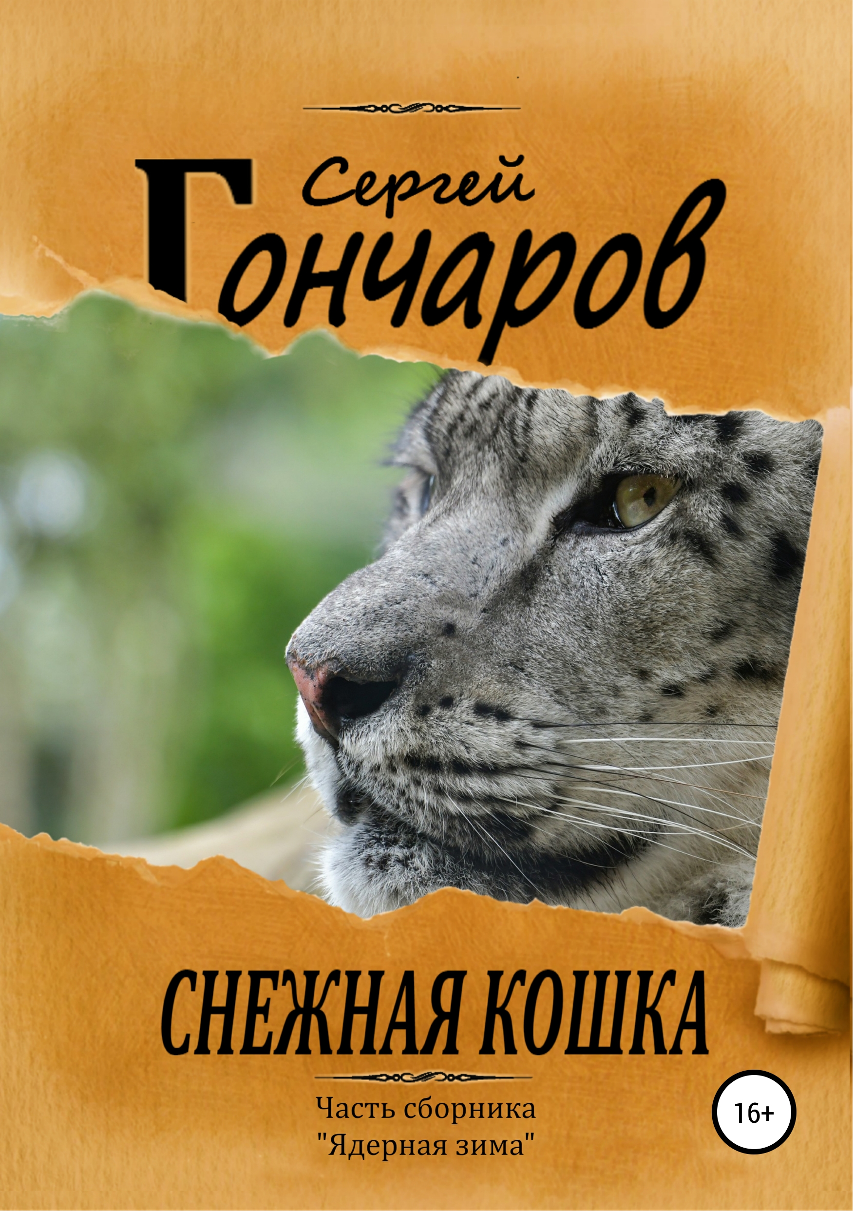 Обложка книги «Снежная кошка»