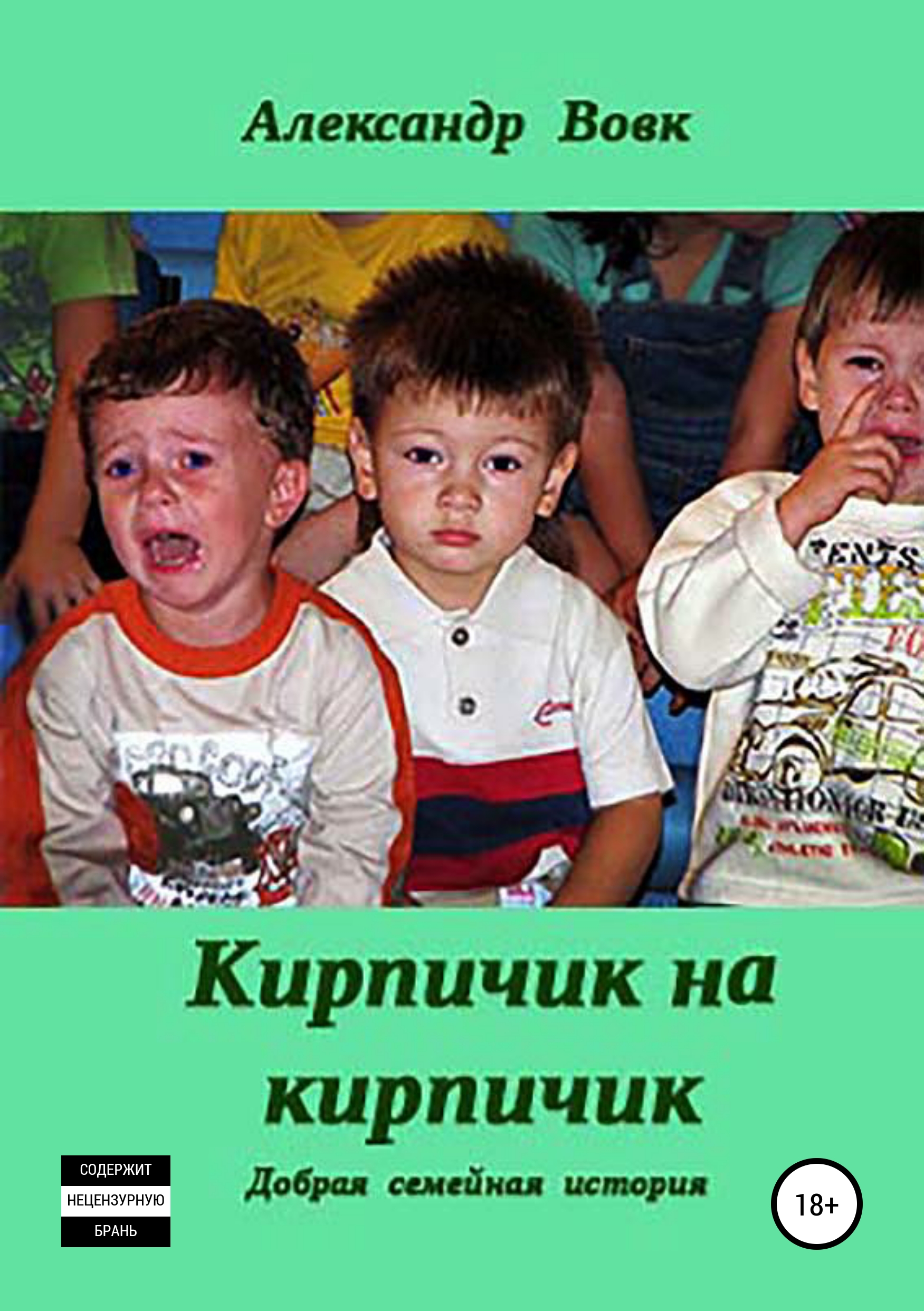 Обложка книги «Кирпичик на кирпичик»