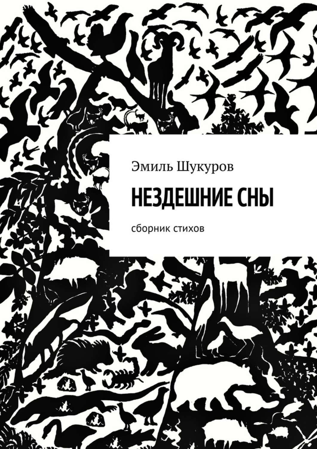 Обложка книги «Нездешние сны. Сборник стихов»