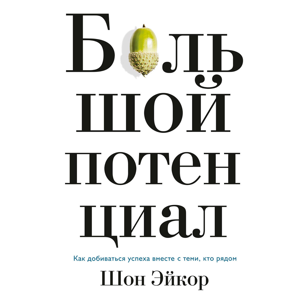 Обложка книги «Большой потенциал. Как добиваться успеха вместе с теми, кто рядом»
