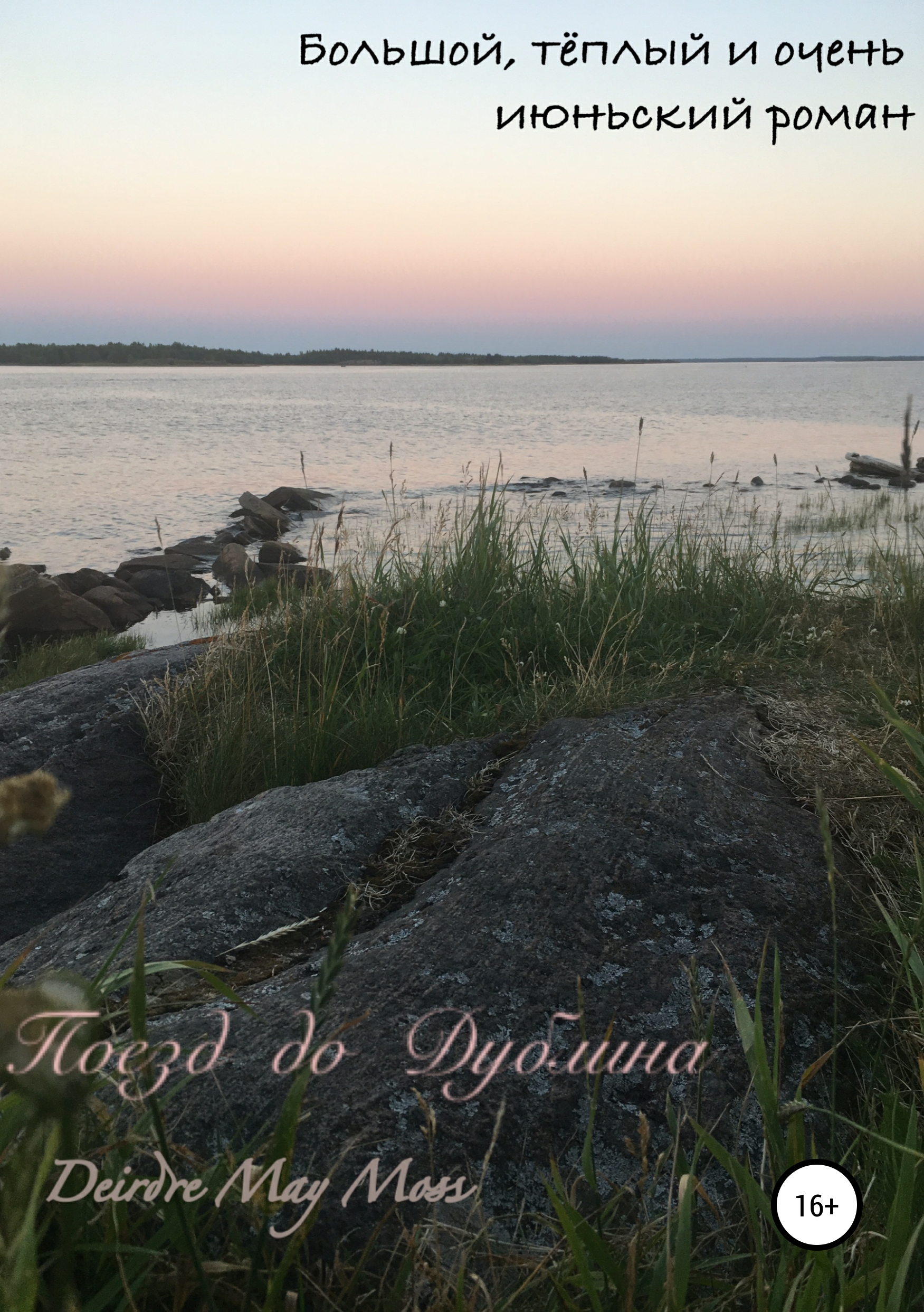 Обложка книги «Поезд до Дублина»