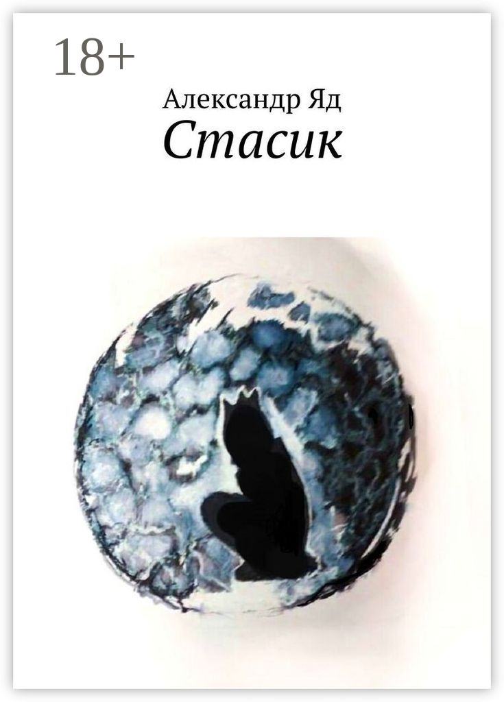 Обложка книги «Стасик»
