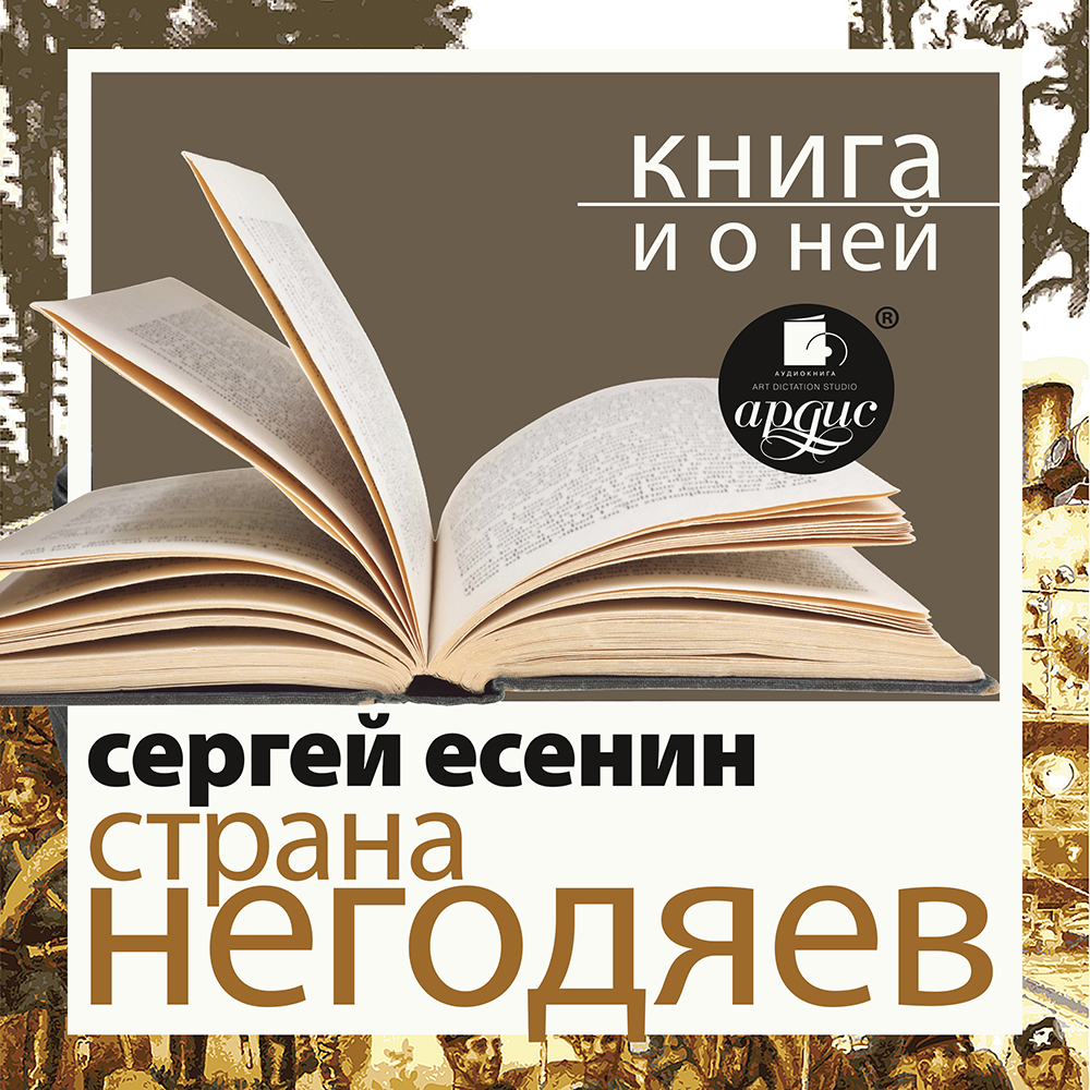 Обложка книги ««Страна негодяев» + Книга о ней»