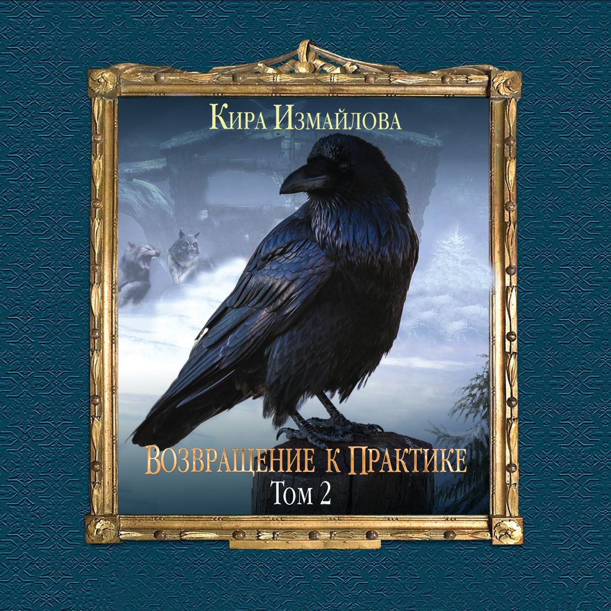 Обложка книги «Возвращение к практике. Том 2»