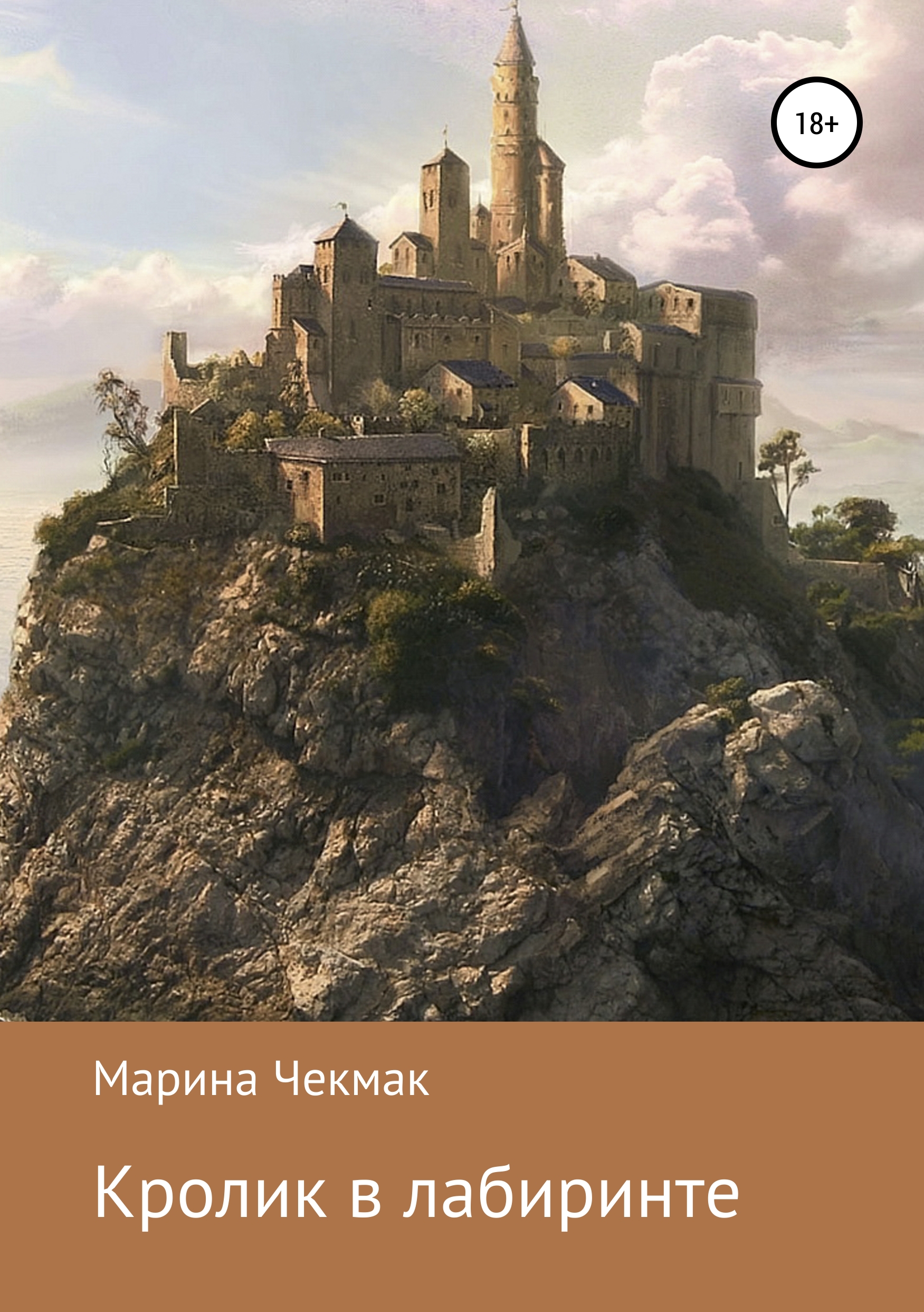 Обложка книги «Кролик в лабиринте»