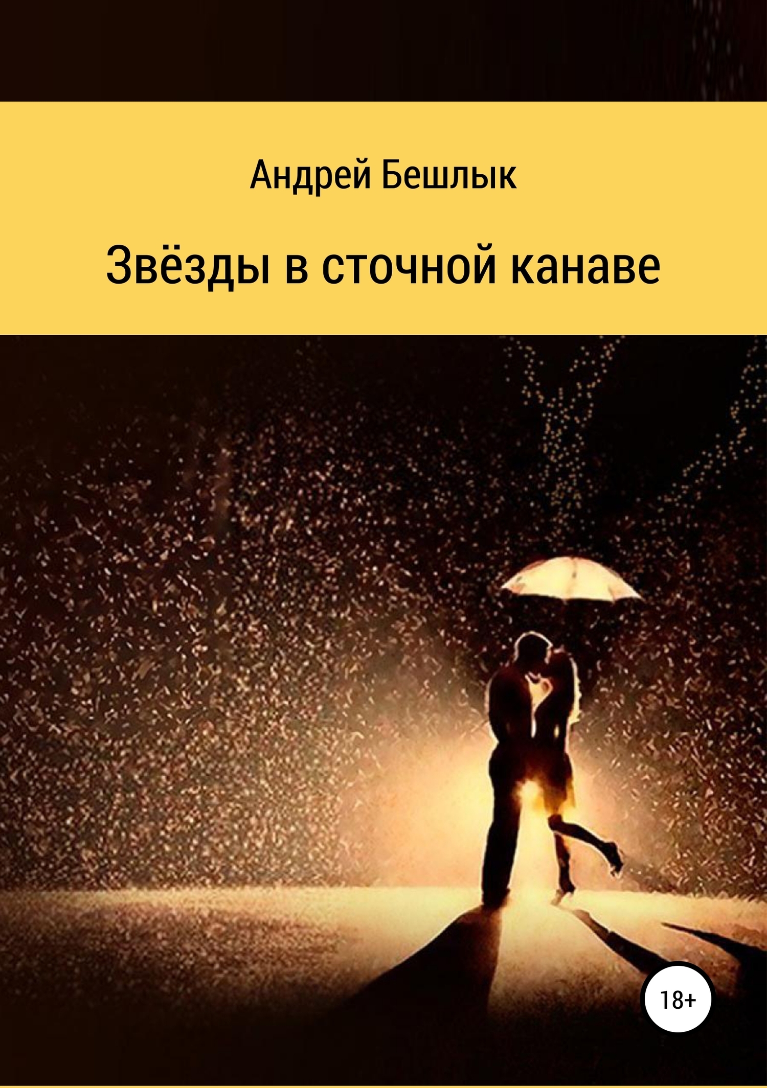 Обложка книги «Звёзды в сточной канаве»