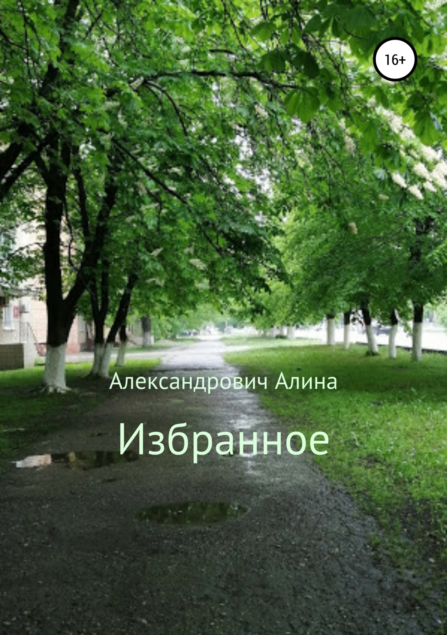 Обложка книги «Избранное»