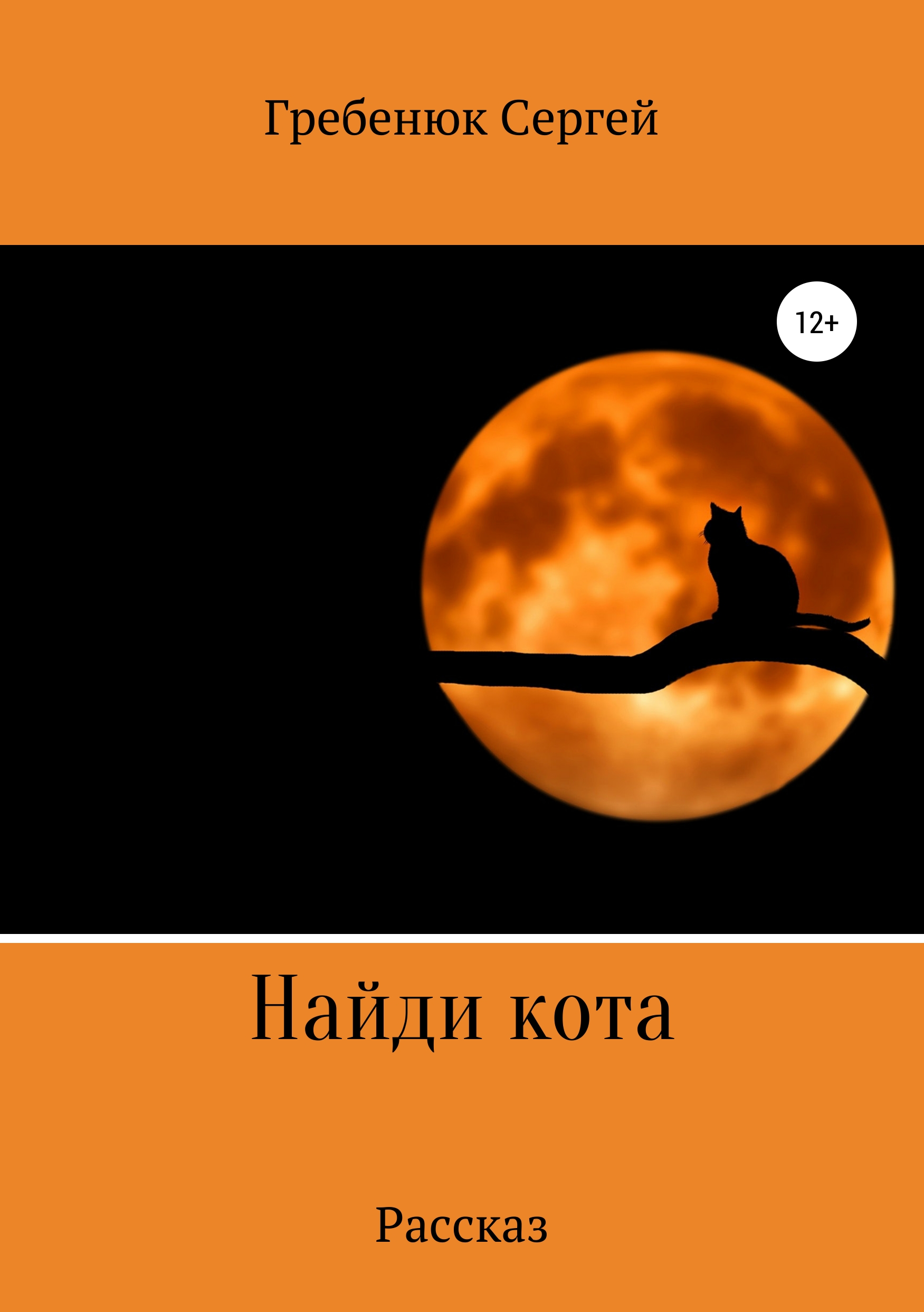 Обложка книги «Найди кота»