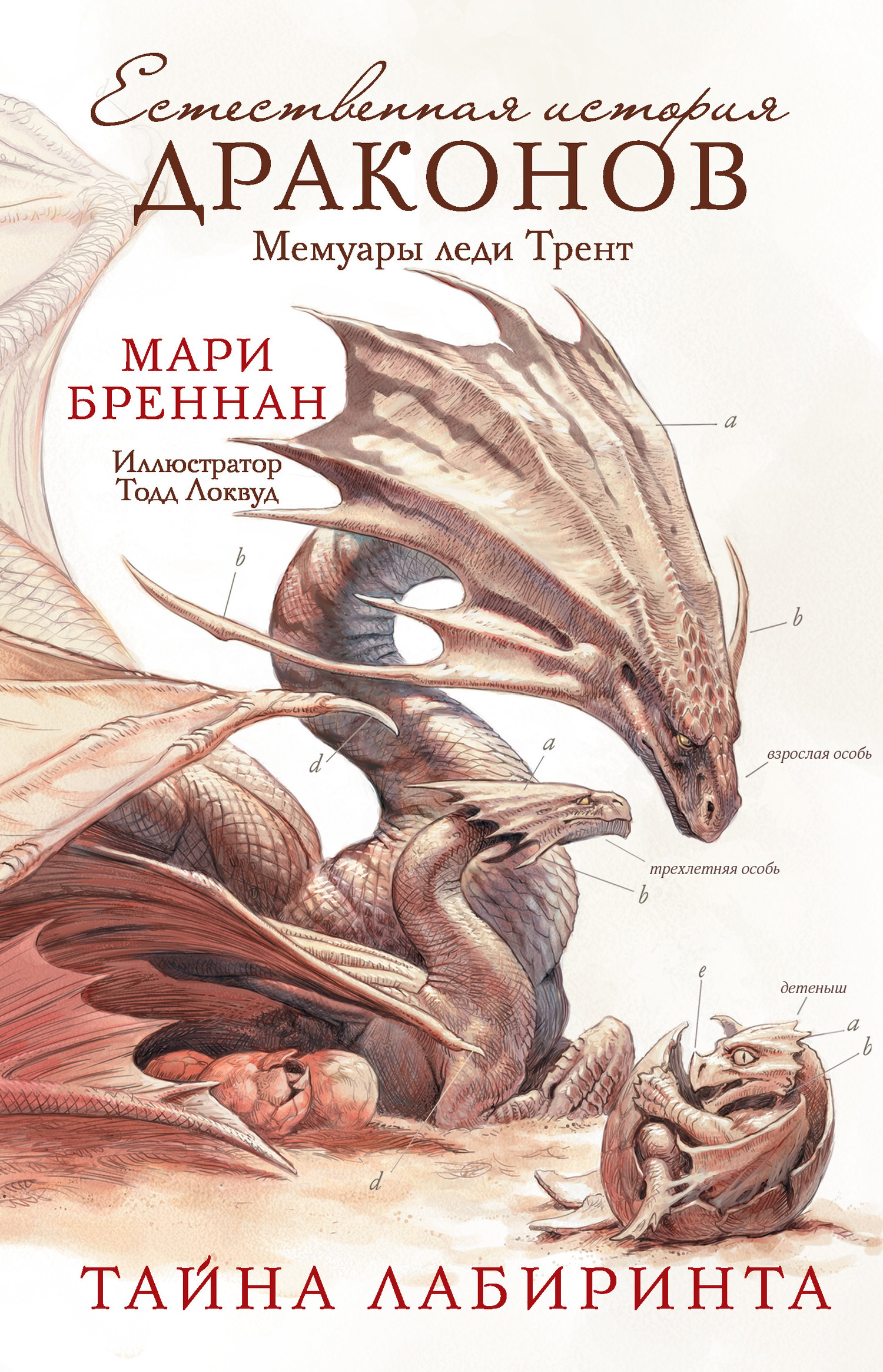 Обложка книги «Мемуары леди Трент: Тайна Лабиринта»