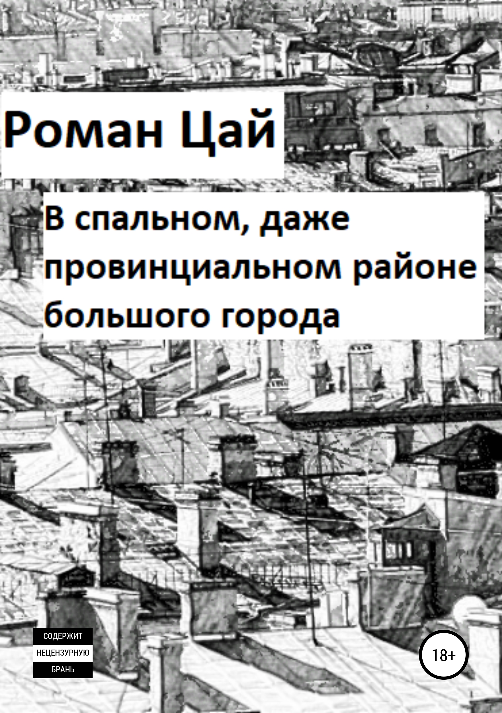 Обложка книги «В спальном, даже провинциальном районе большого города»