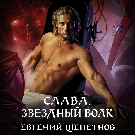 Обложка книги «Слава. Звёздный Волк»