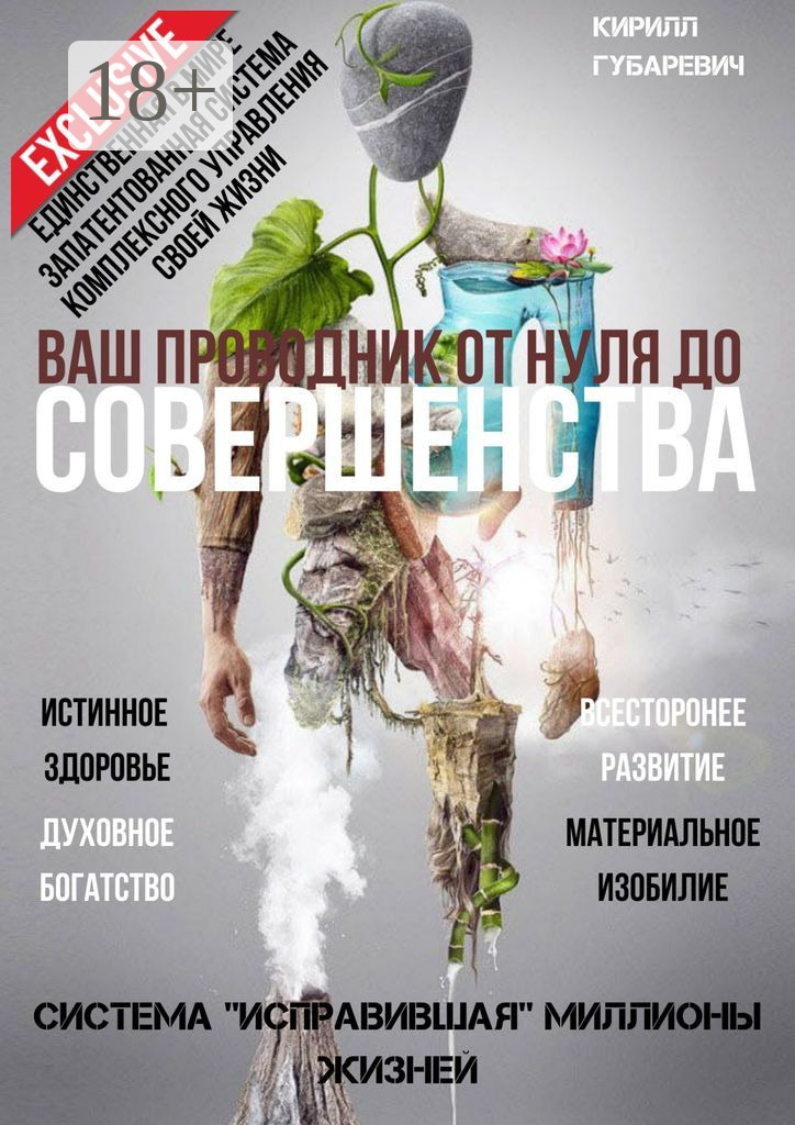 Обложка книги «Ваш проводник от нуля до Совершенства»