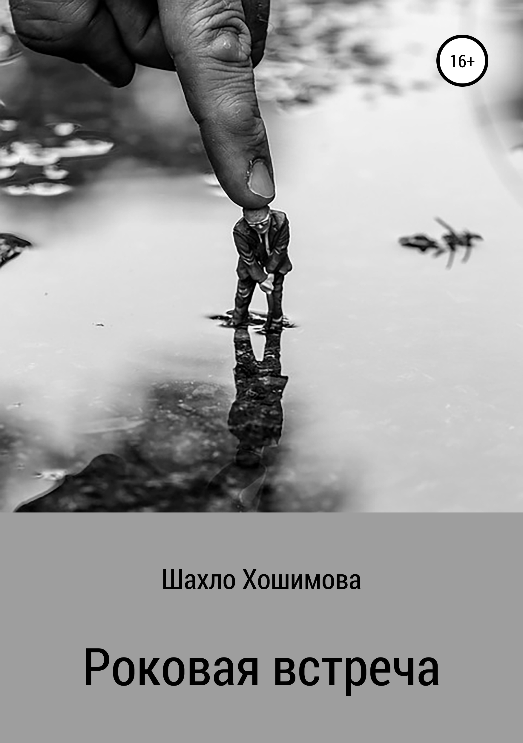 Обложка книги «Роковая встреча»