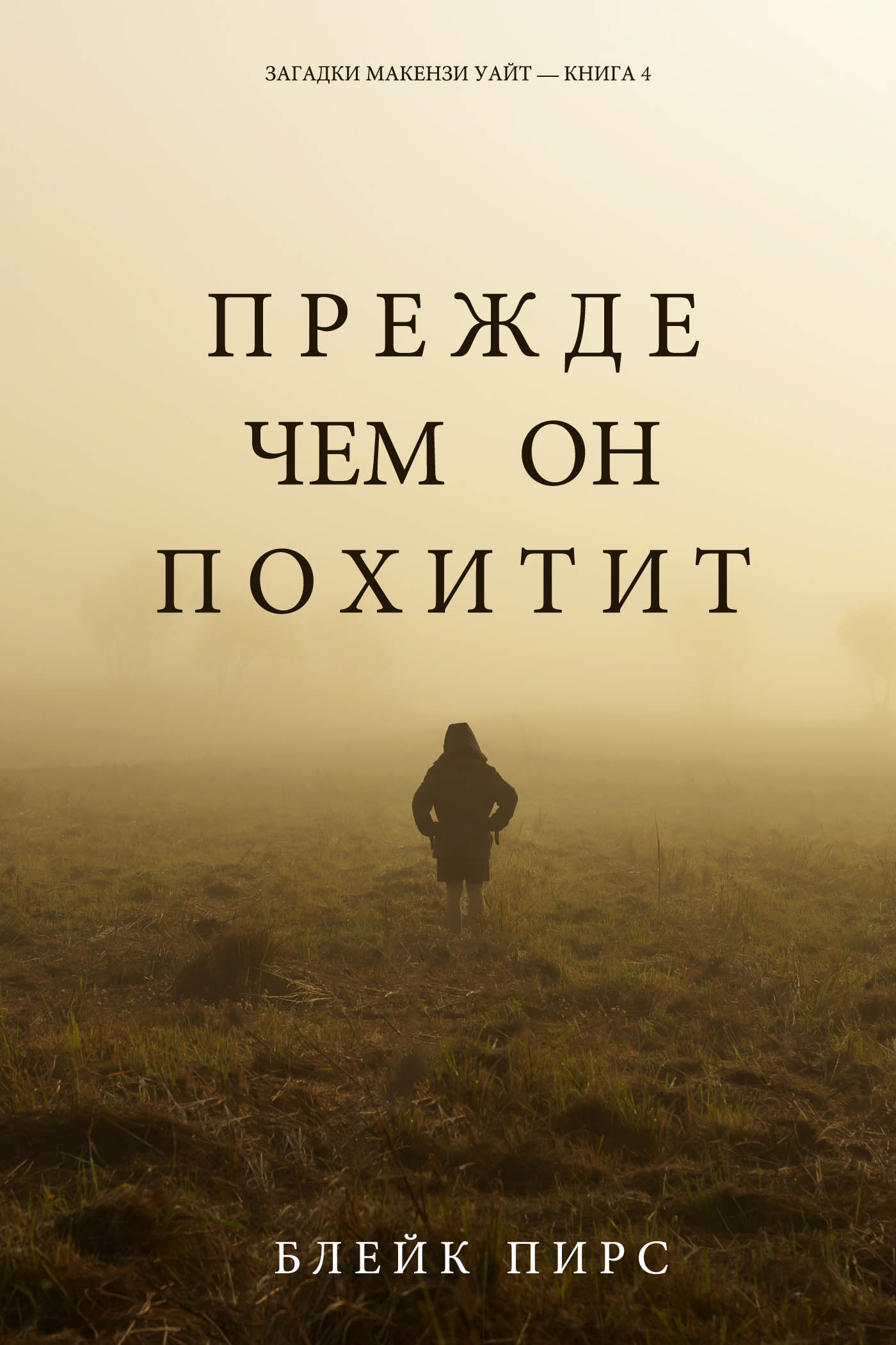 Обложка книги «Прежде чем он похитит»