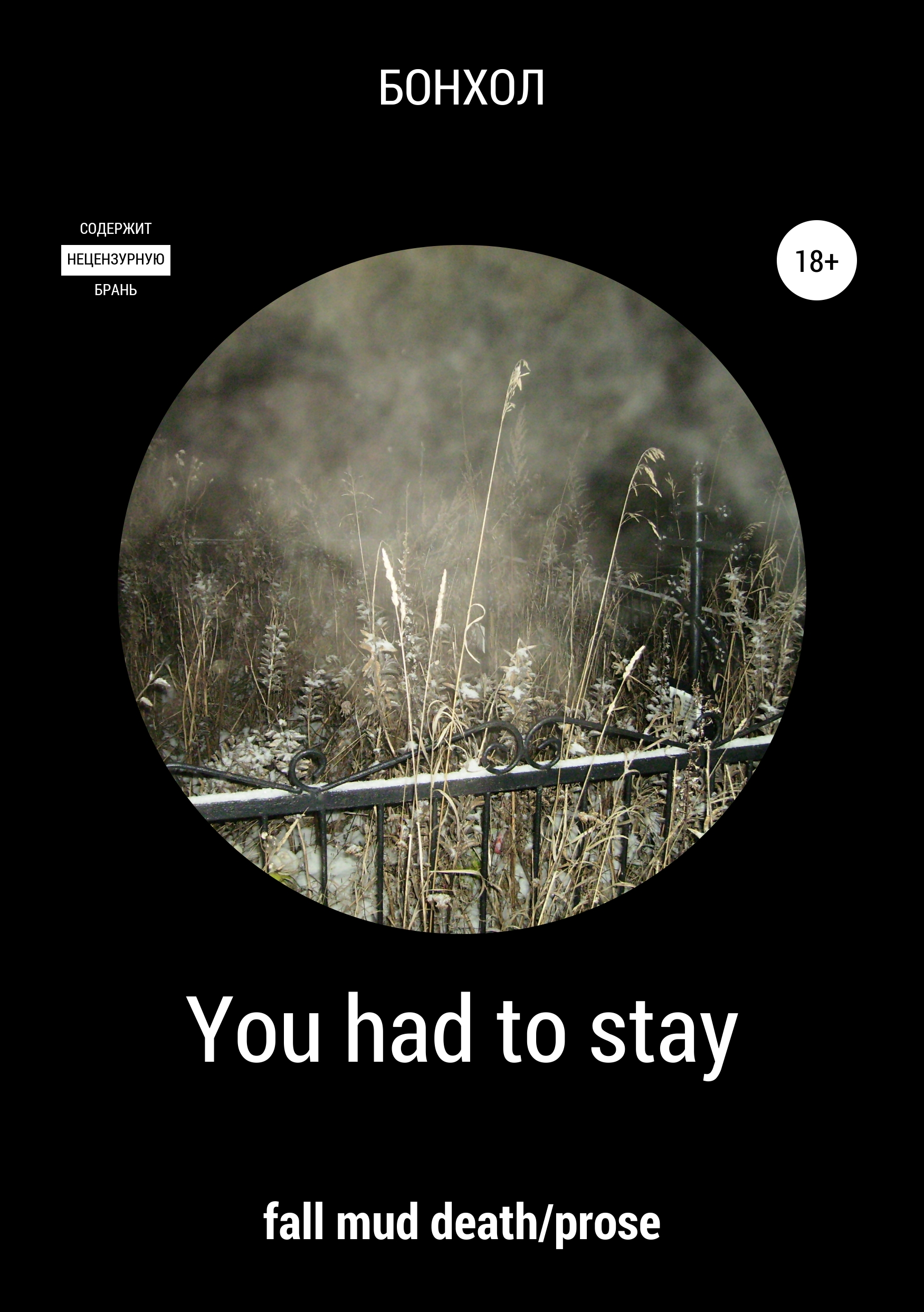 Обложка книги «You had to stay»