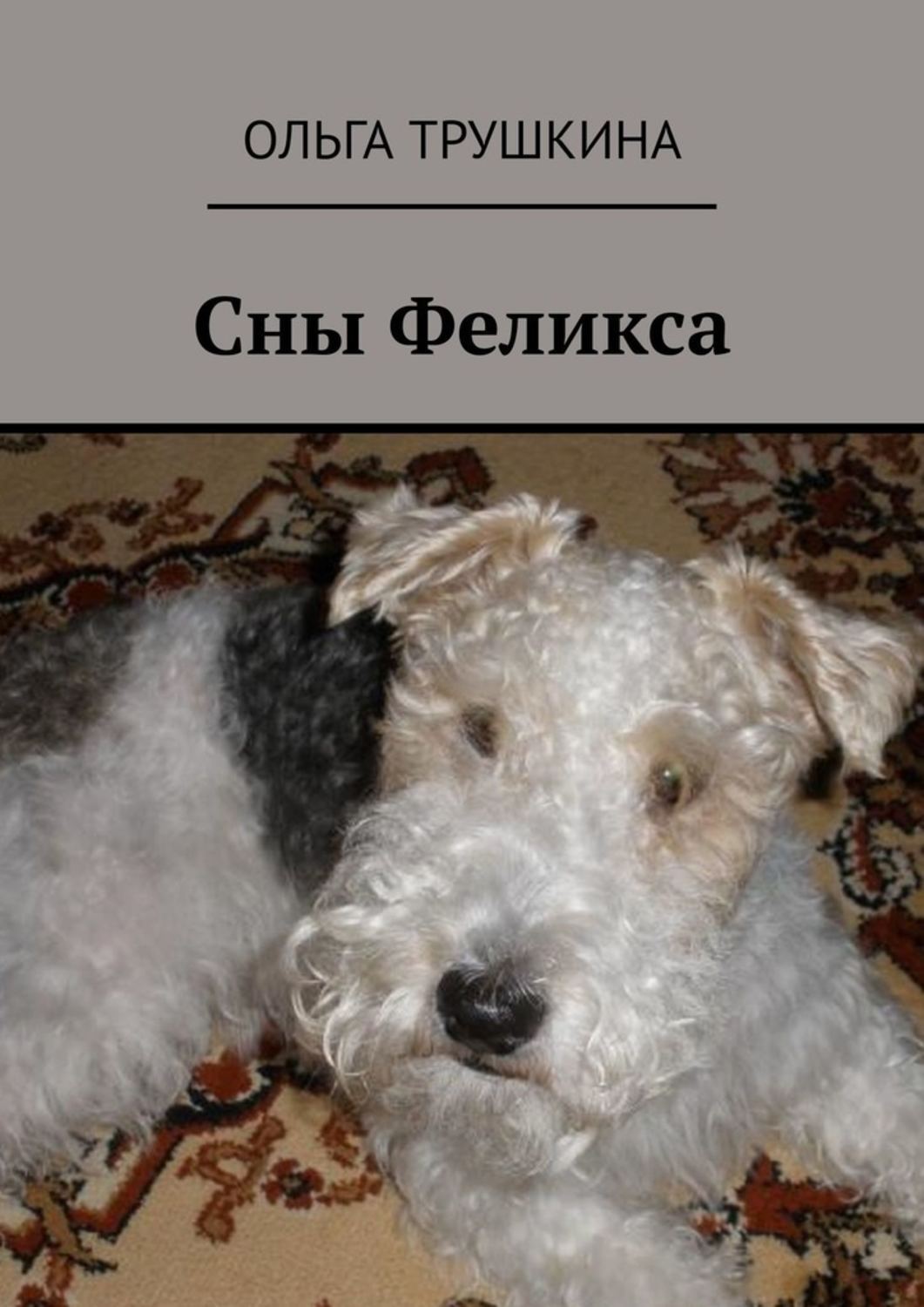 Обложка книги «Сны Феликса»