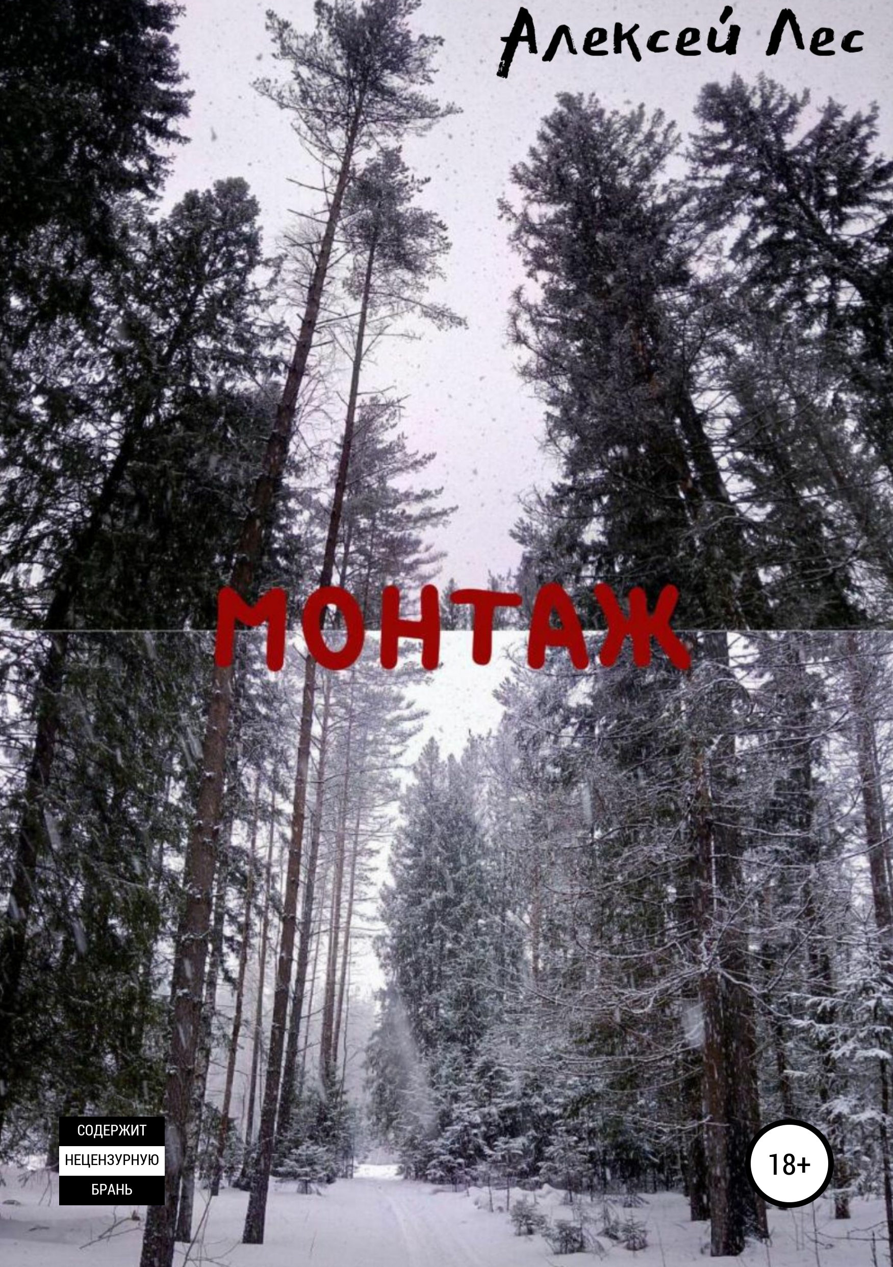 Обложка книги «Монтаж»