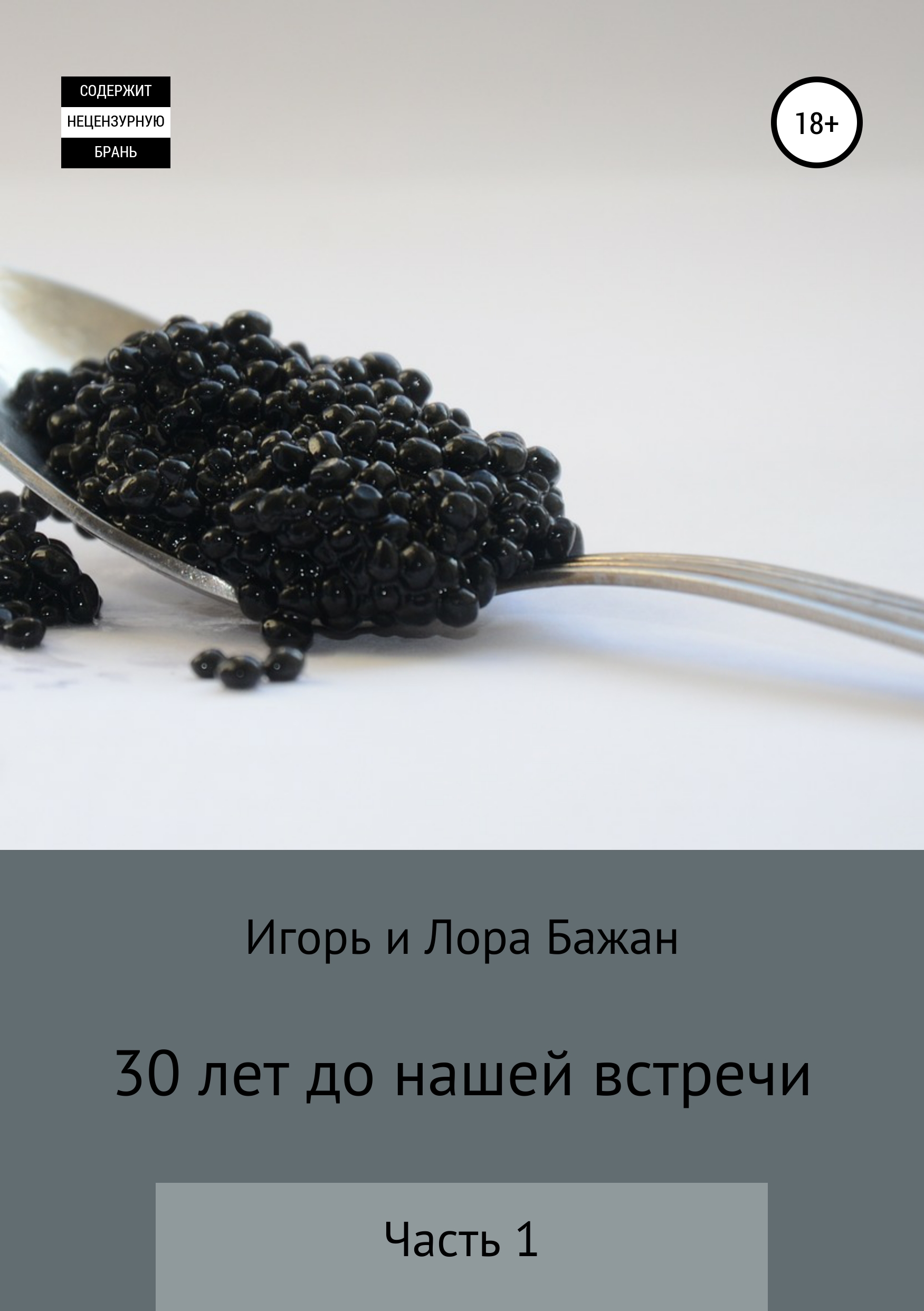 Обложка книги «30 лет до нашей встречи»