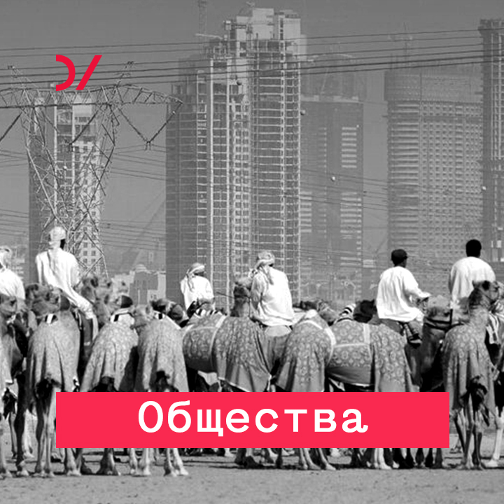 Обложка книги «Строить заново»