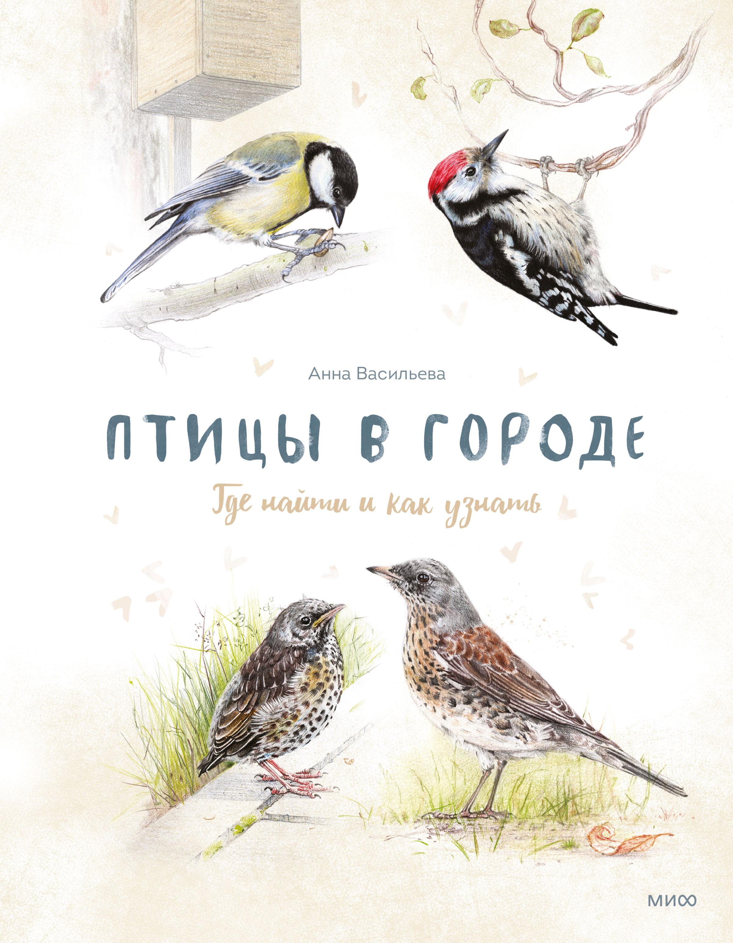 Обложка книги «Птицы в городе. Где найти и как узнать»