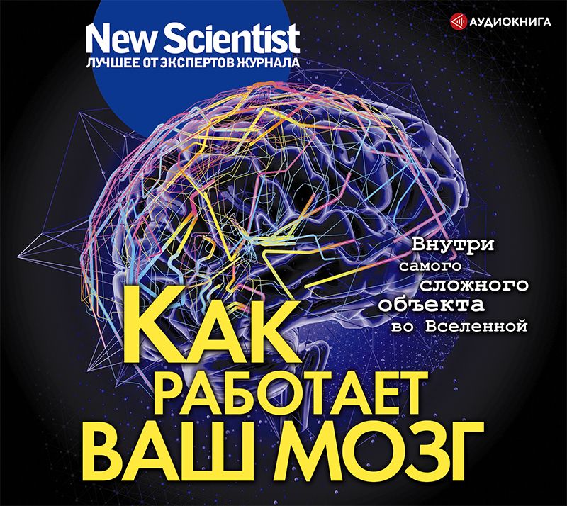 Обложка книги «Как работает ваш мозг»