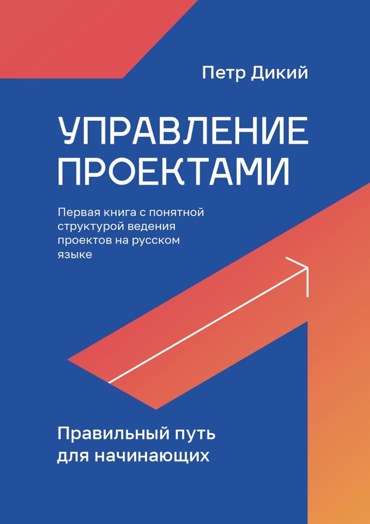 Обложка книги «Управление проектами. Правильный путь для начинающих»