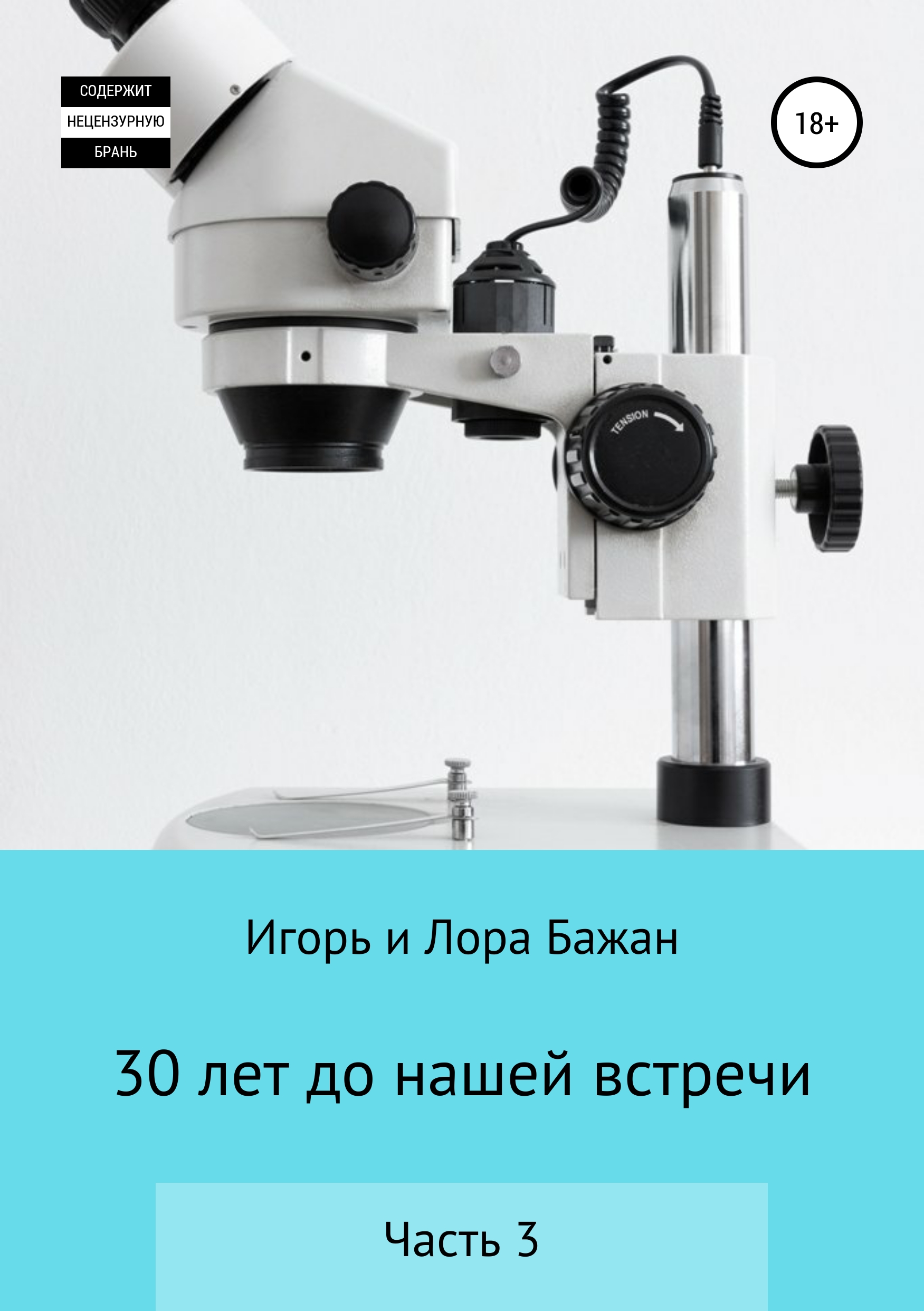 Обложка книги «30 лет до нашей встречи. Часть 3»