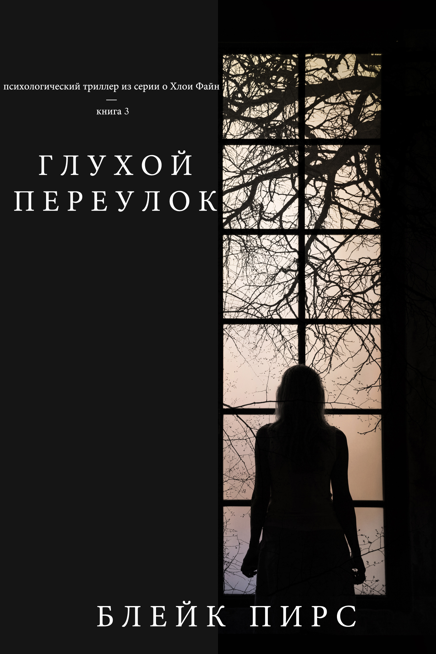 Обложка книги «Глухой переулок (Безысходность)»