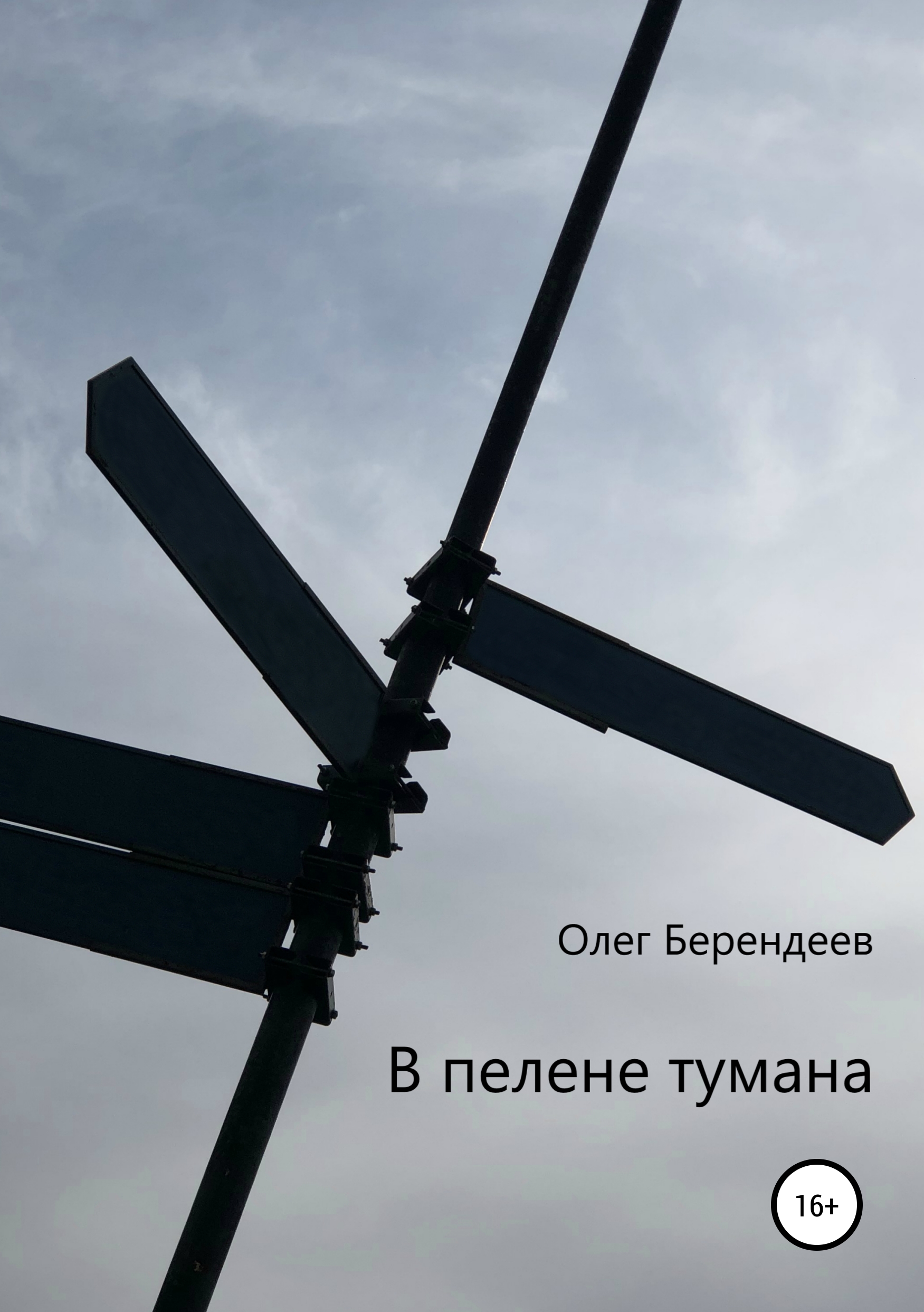Обложка книги «В пелене тумана»
