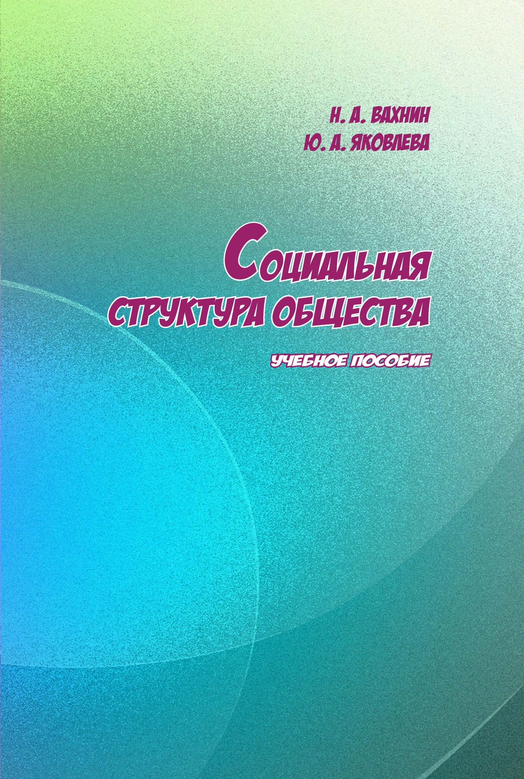 Обложка книги «Социальная структура общества»