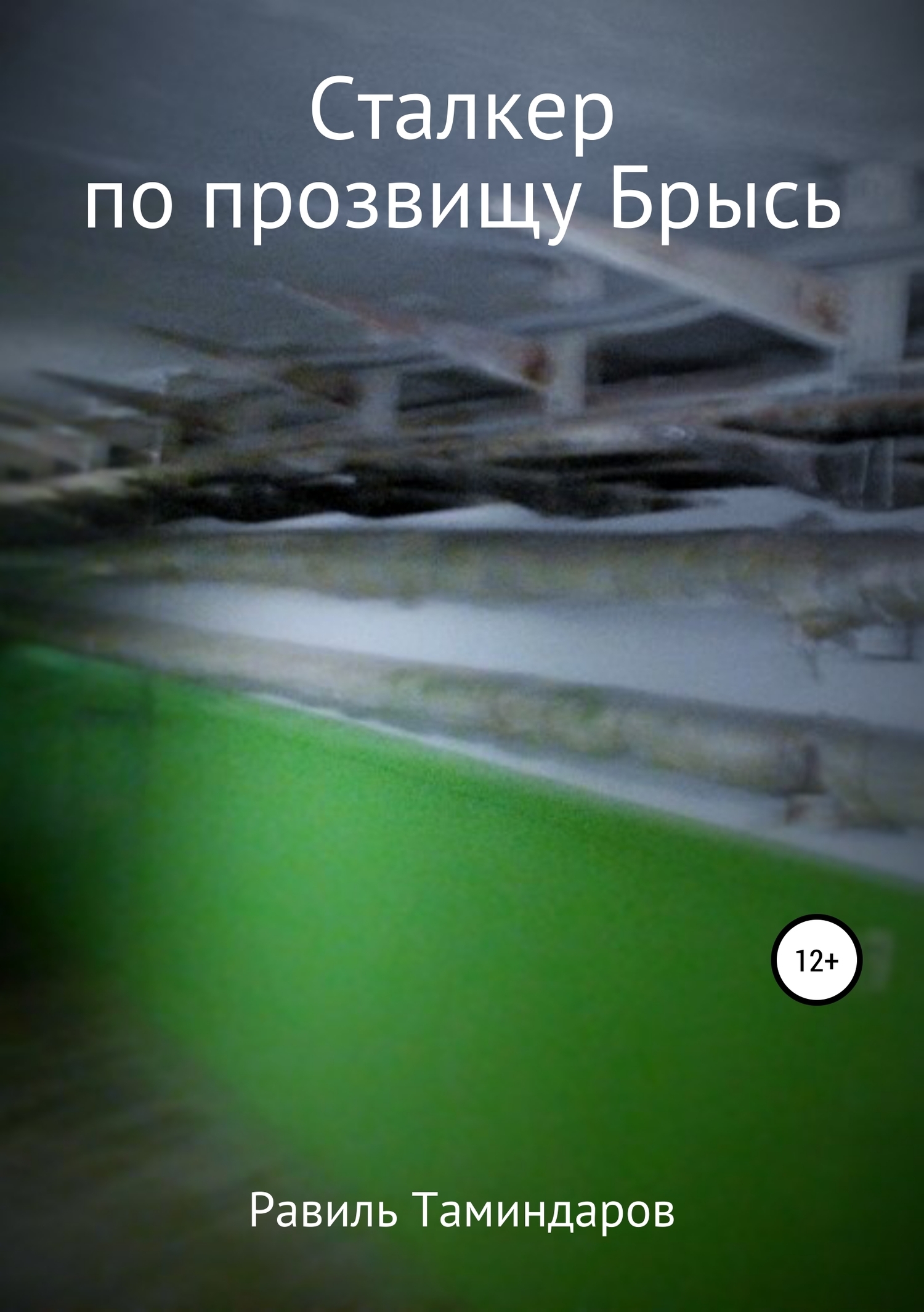Обложка книги «Сталкер по прозвищу Брысь»