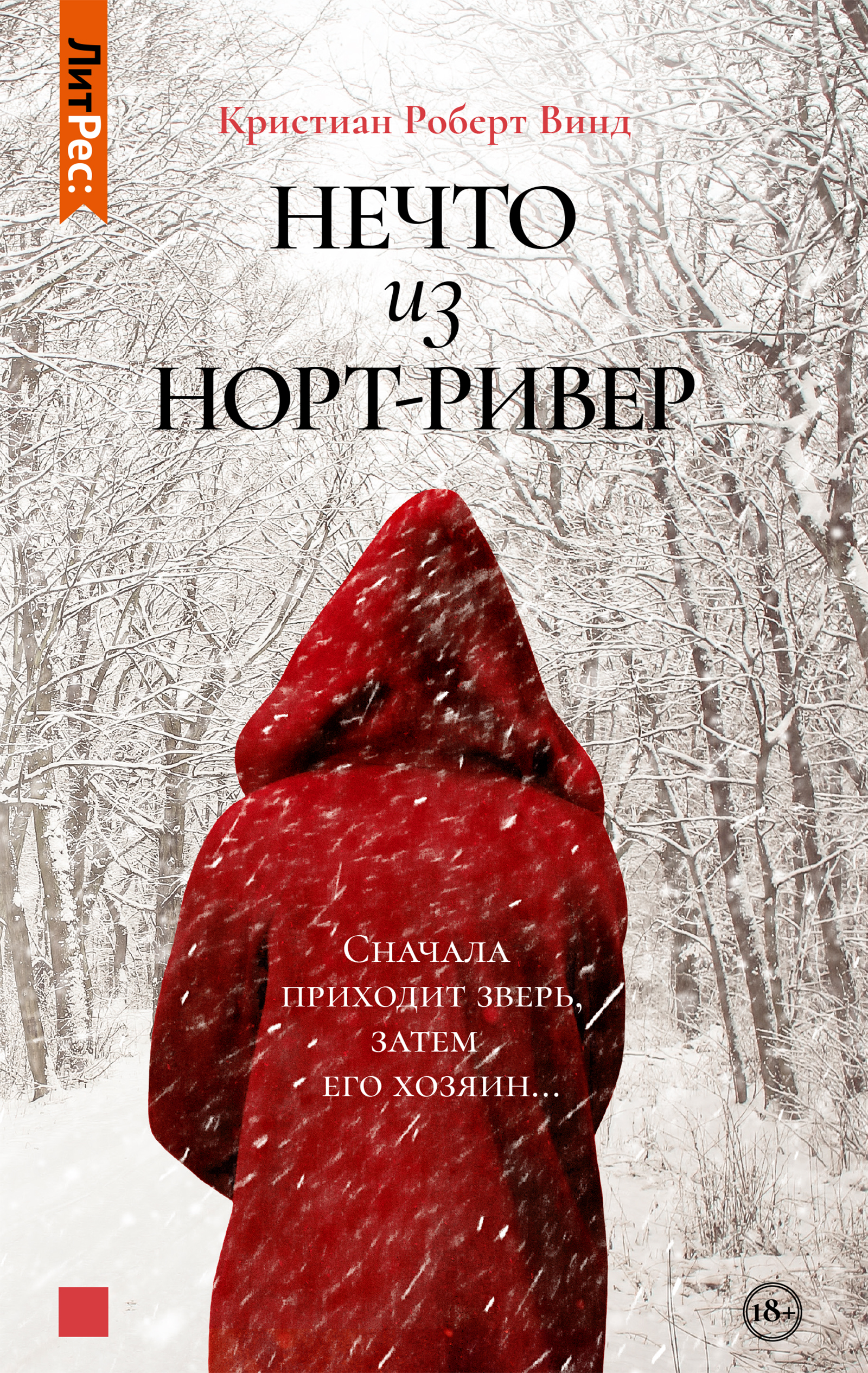 Обложка книги «Нечто из Норт Ривер»