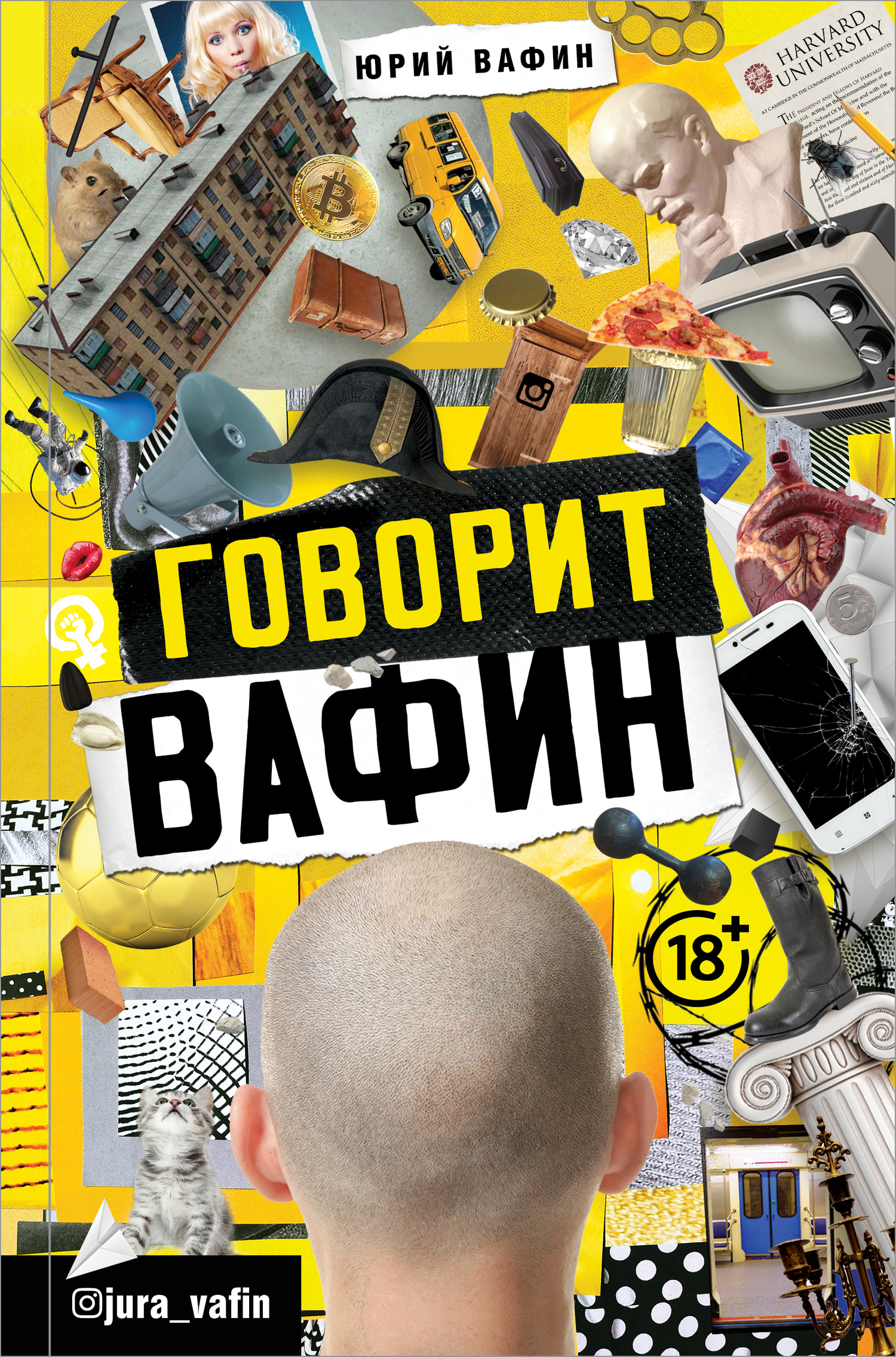 Обложка книги «Говорит Вафин»
