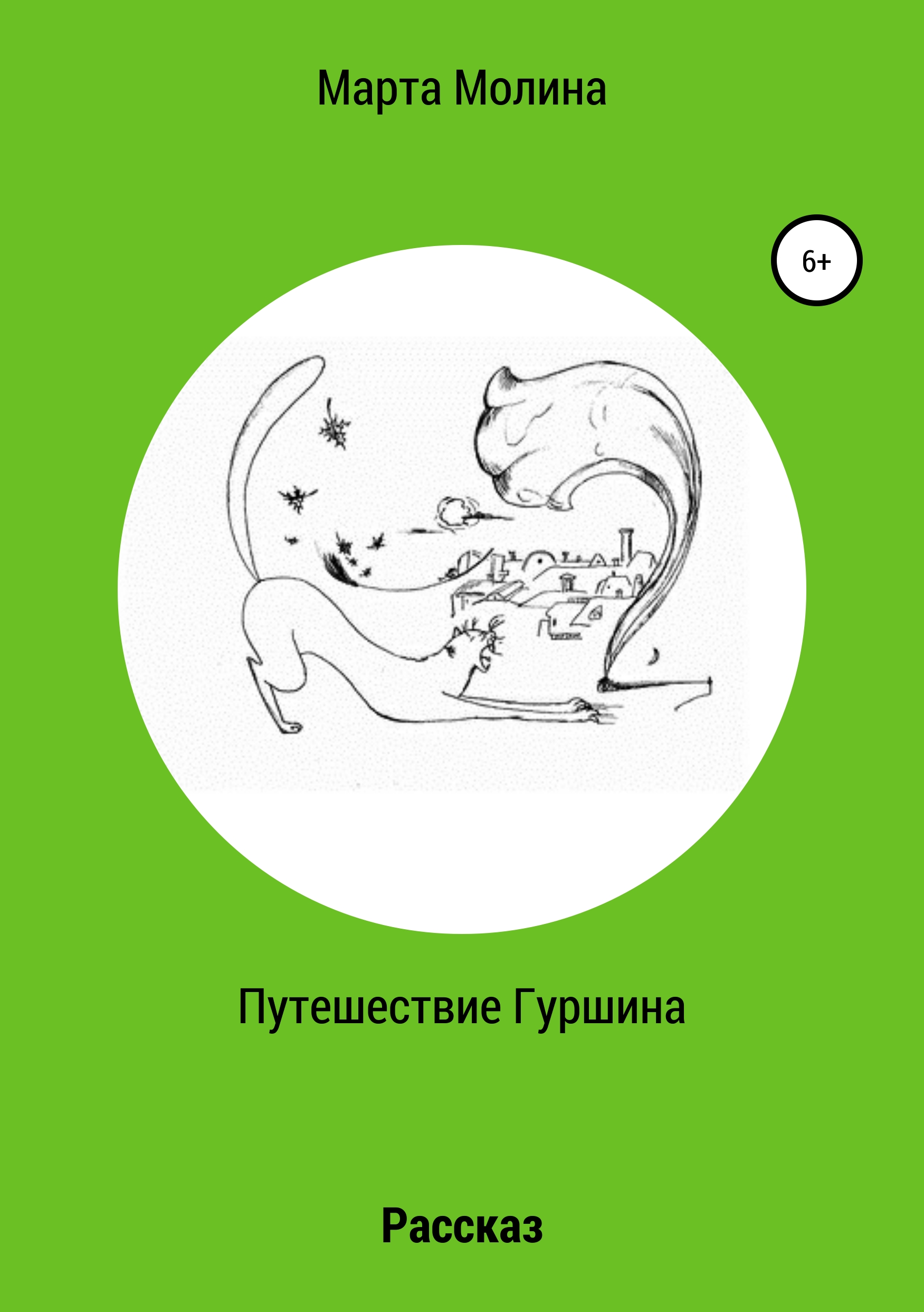 Обложка книги «Путешествие Гуршина»